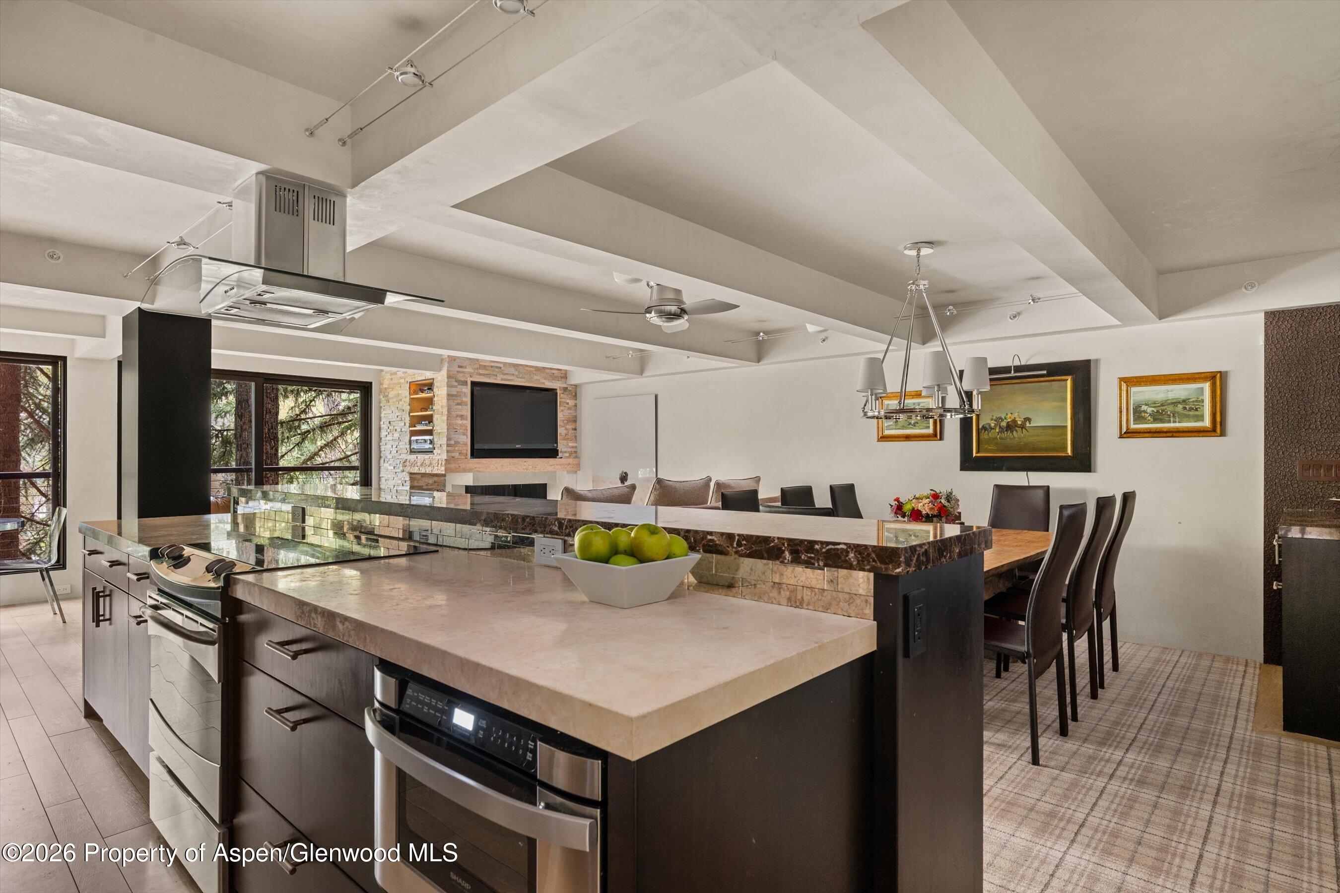 1034 E Cooper Avenue Aspen CO 81611