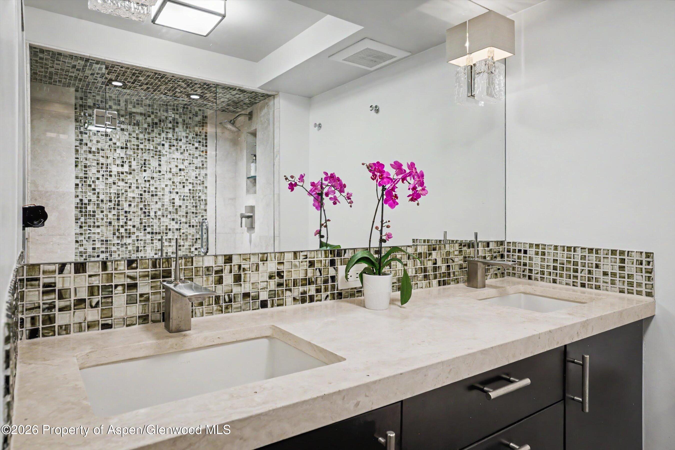 1034 E Cooper Avenue Aspen CO 81611