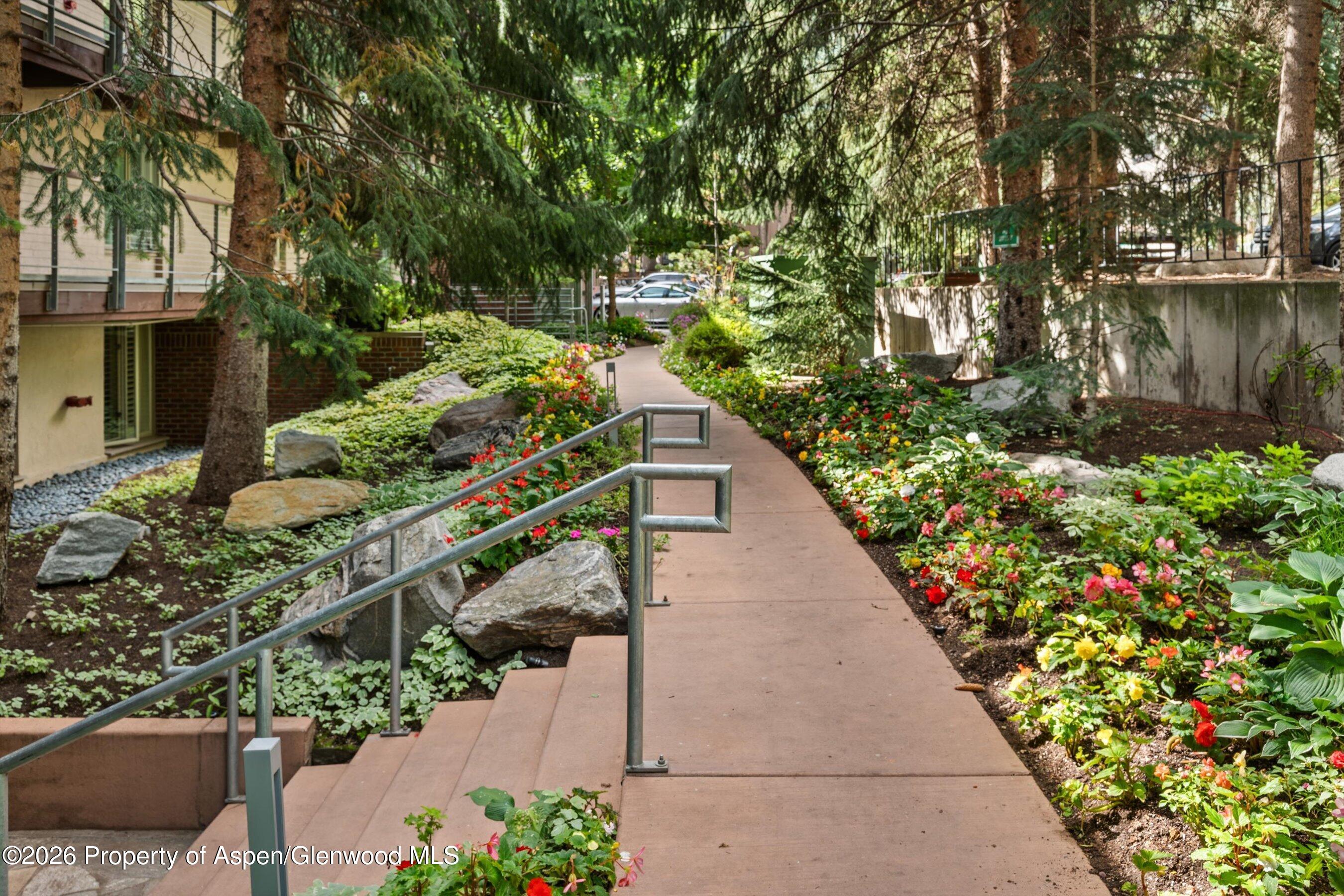 1034 E Cooper Avenue Aspen CO 81611