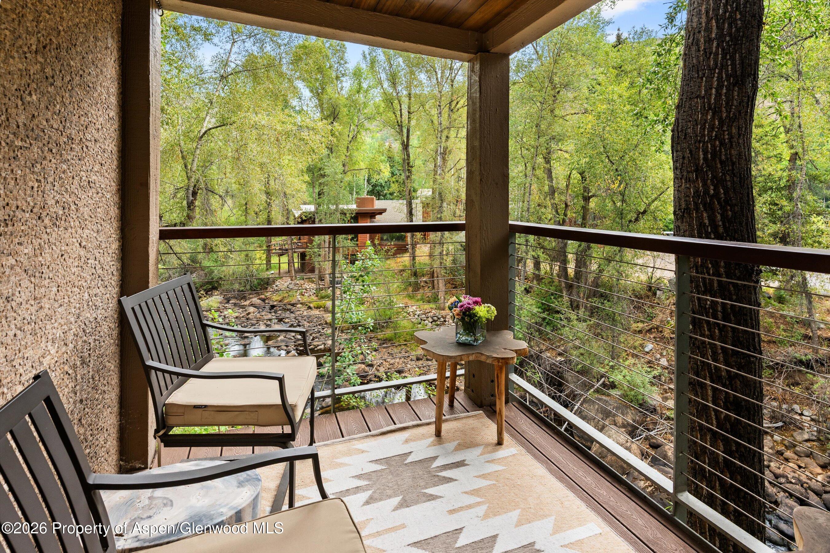 1034 E Cooper Avenue Aspen CO 81611
