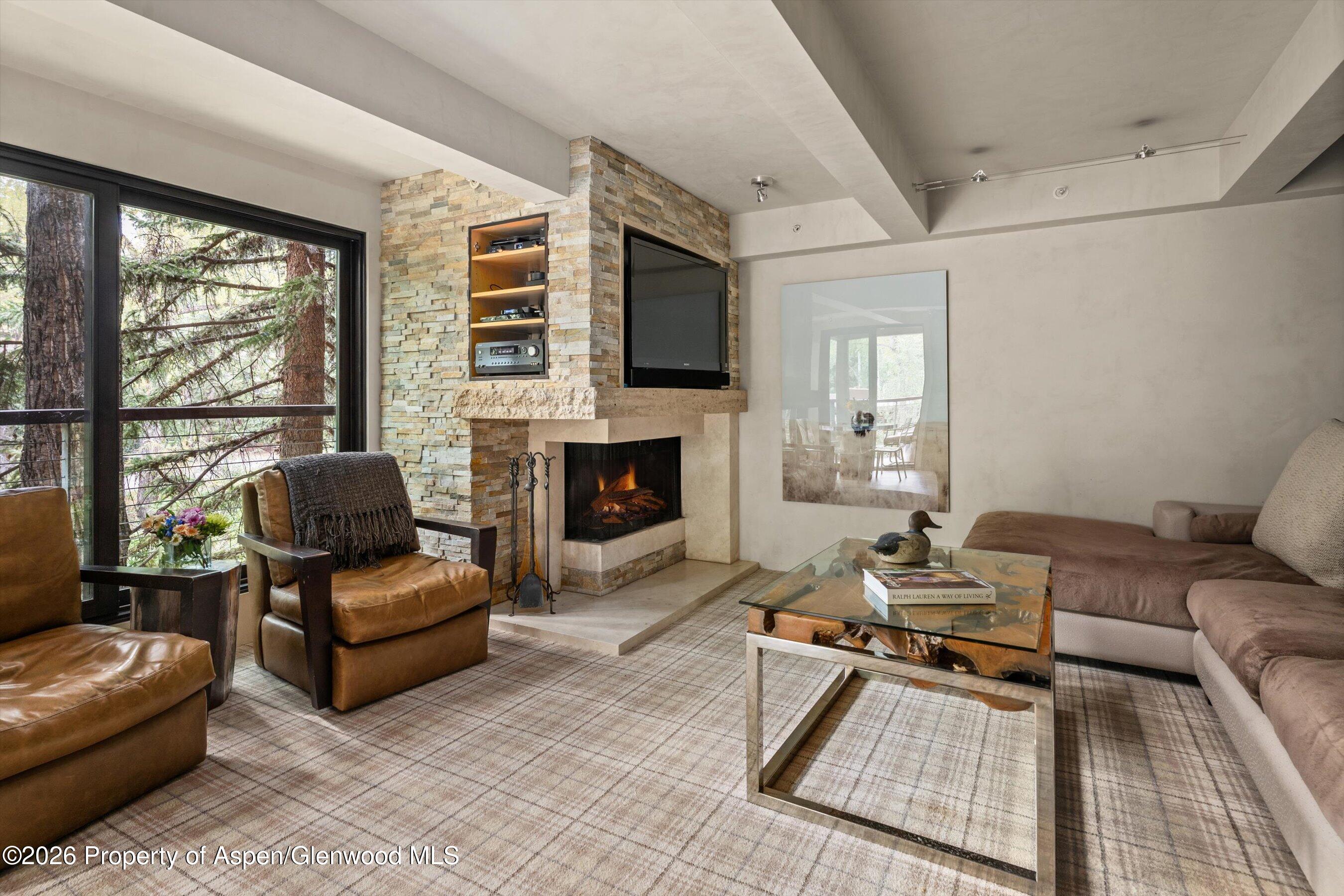 1034 E Cooper Avenue Aspen CO 81611
