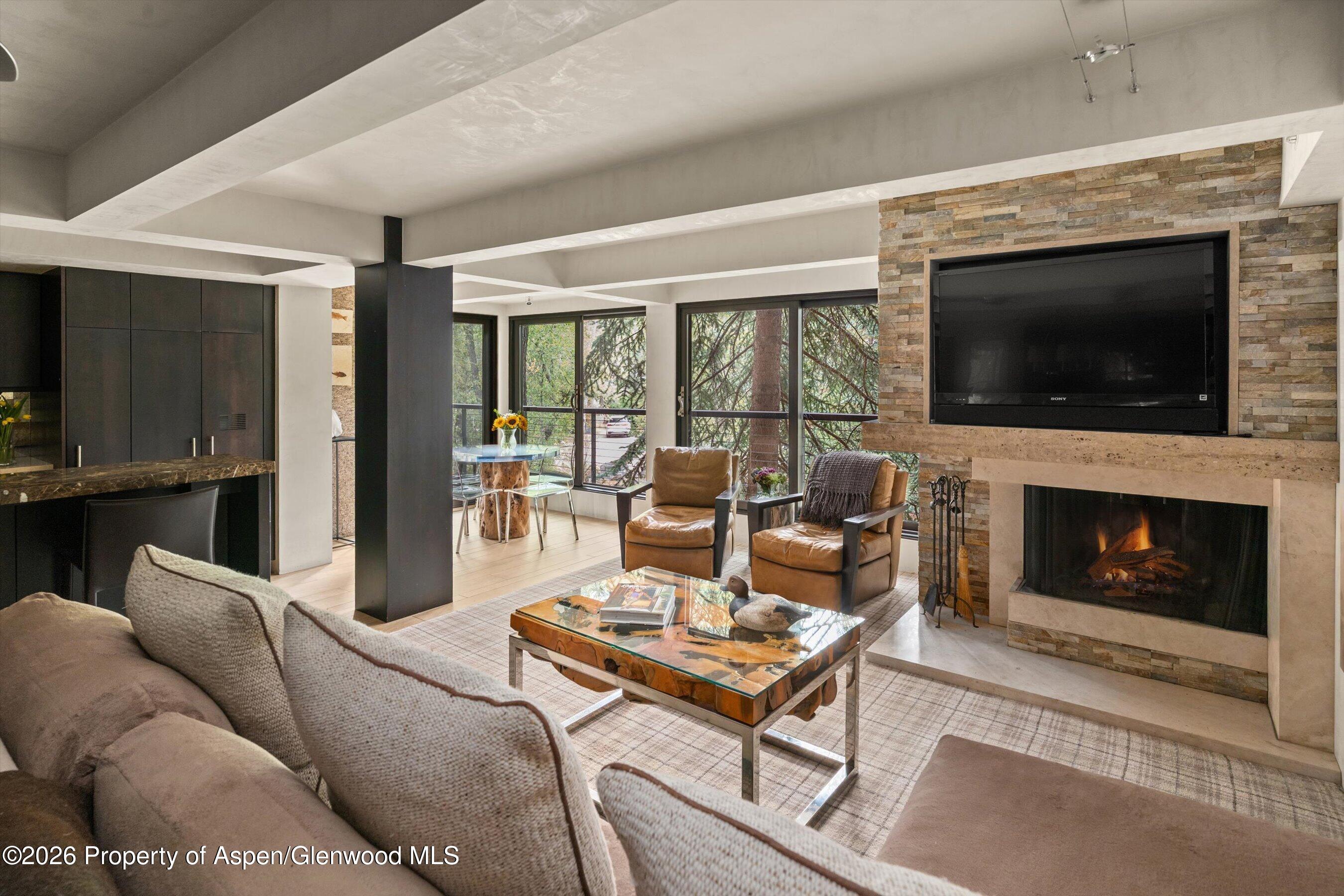 1034 E Cooper Avenue Aspen CO 81611