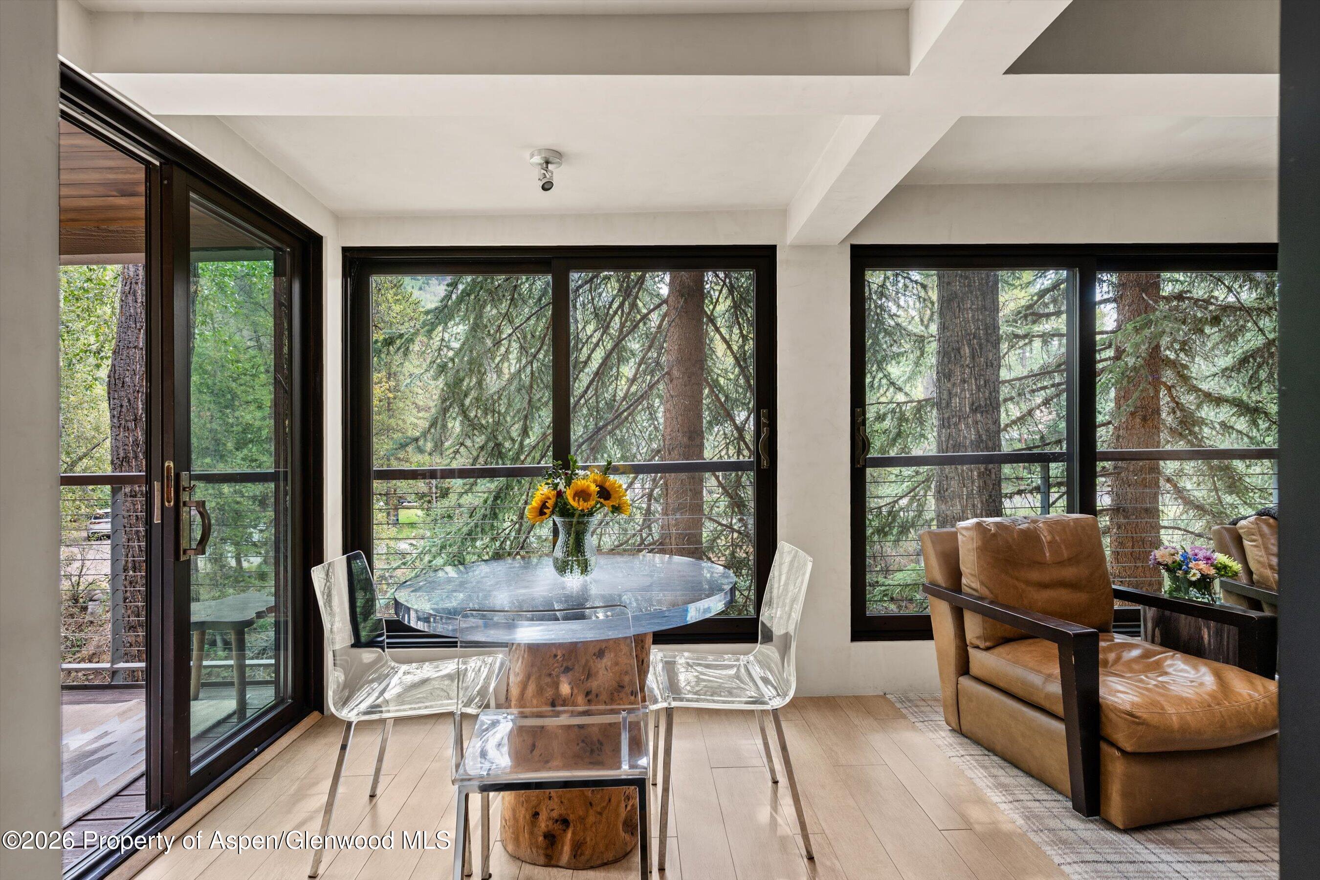 1034 E Cooper Avenue Aspen CO 81611