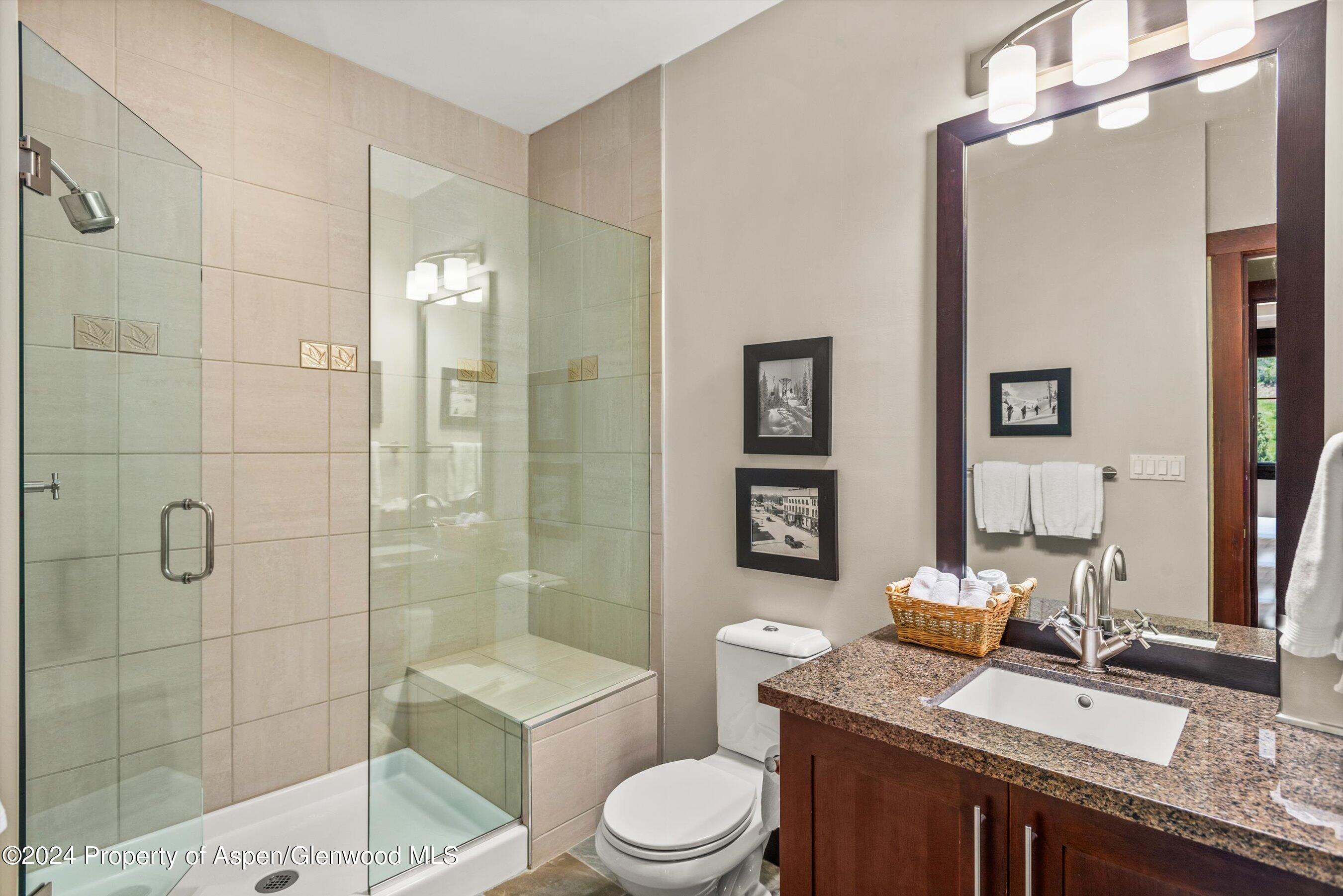 120 Carriage Way Snowmass Village CO 81615