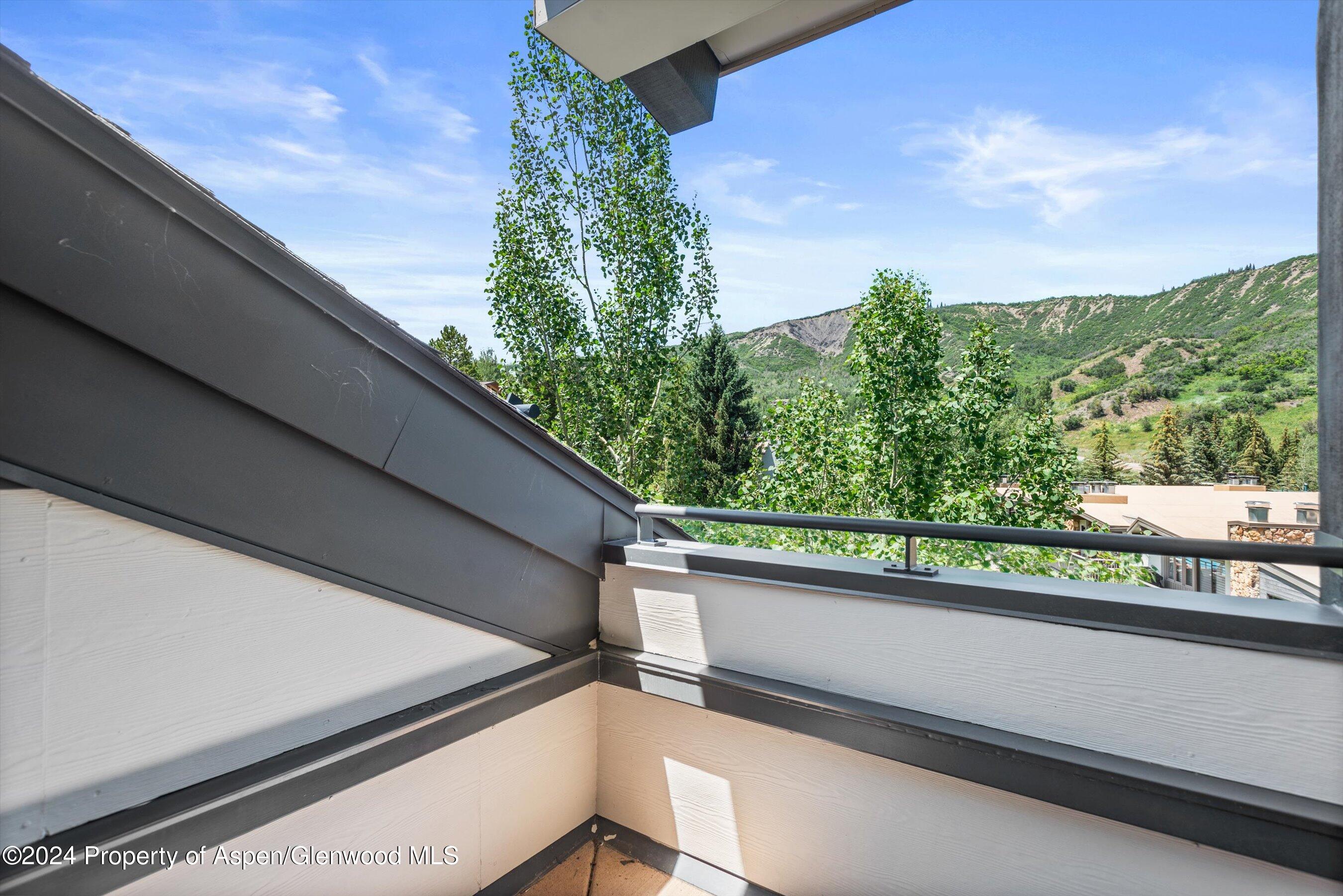 120 Carriage Way Snowmass Village CO 81615
