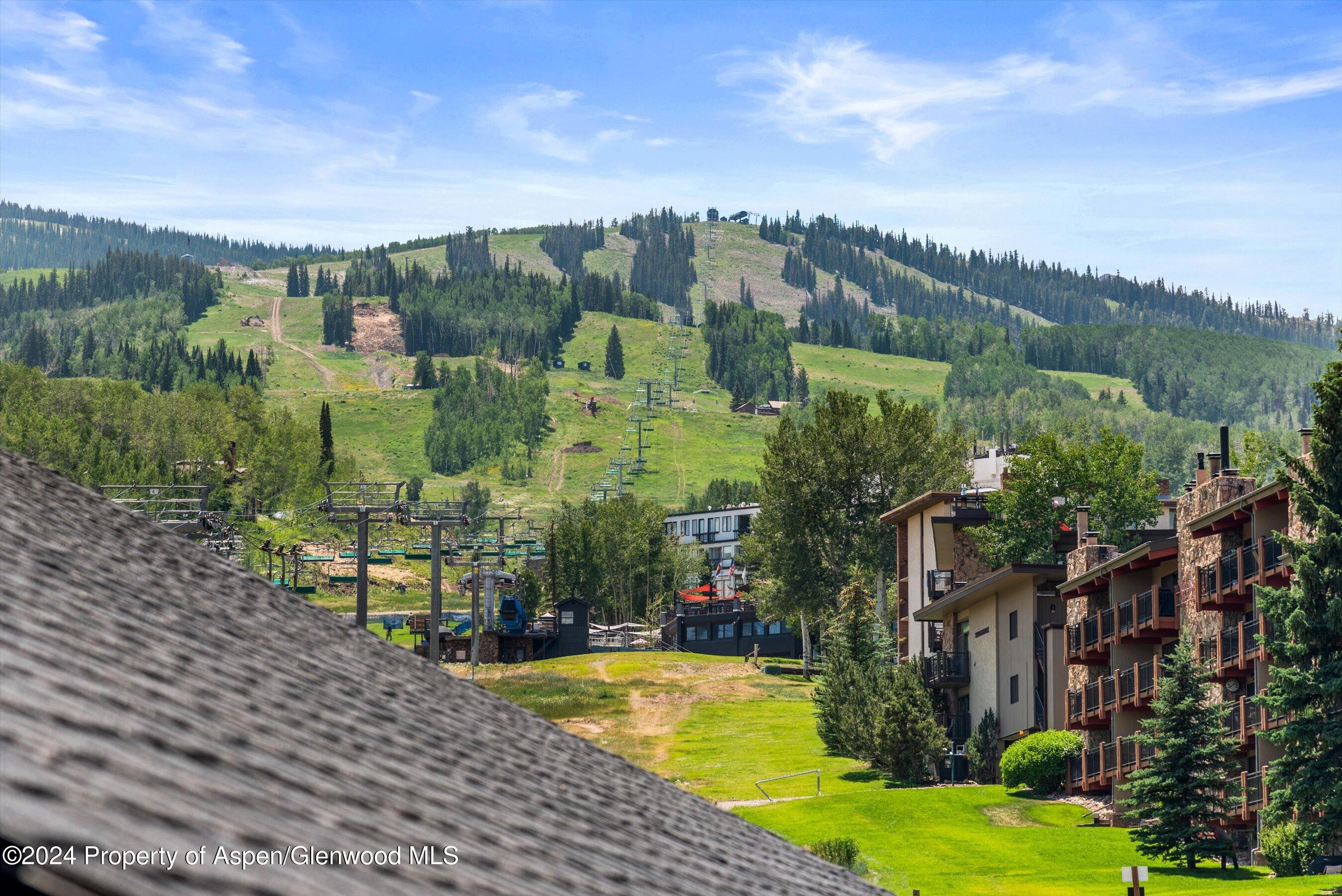 120 Carriage Way Snowmass Village CO 81615