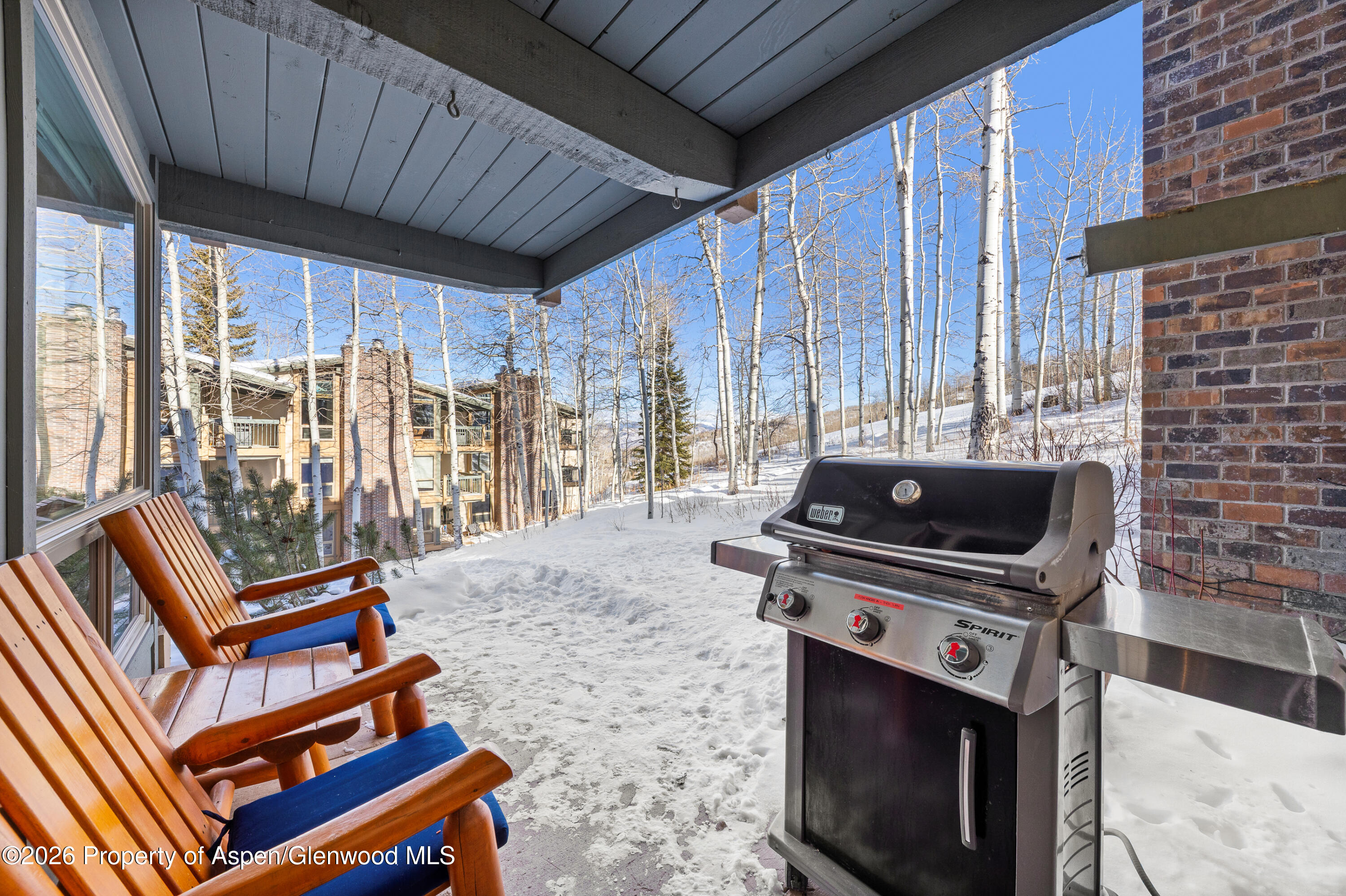 855 Carriage Way Snowmass Village CO 81615