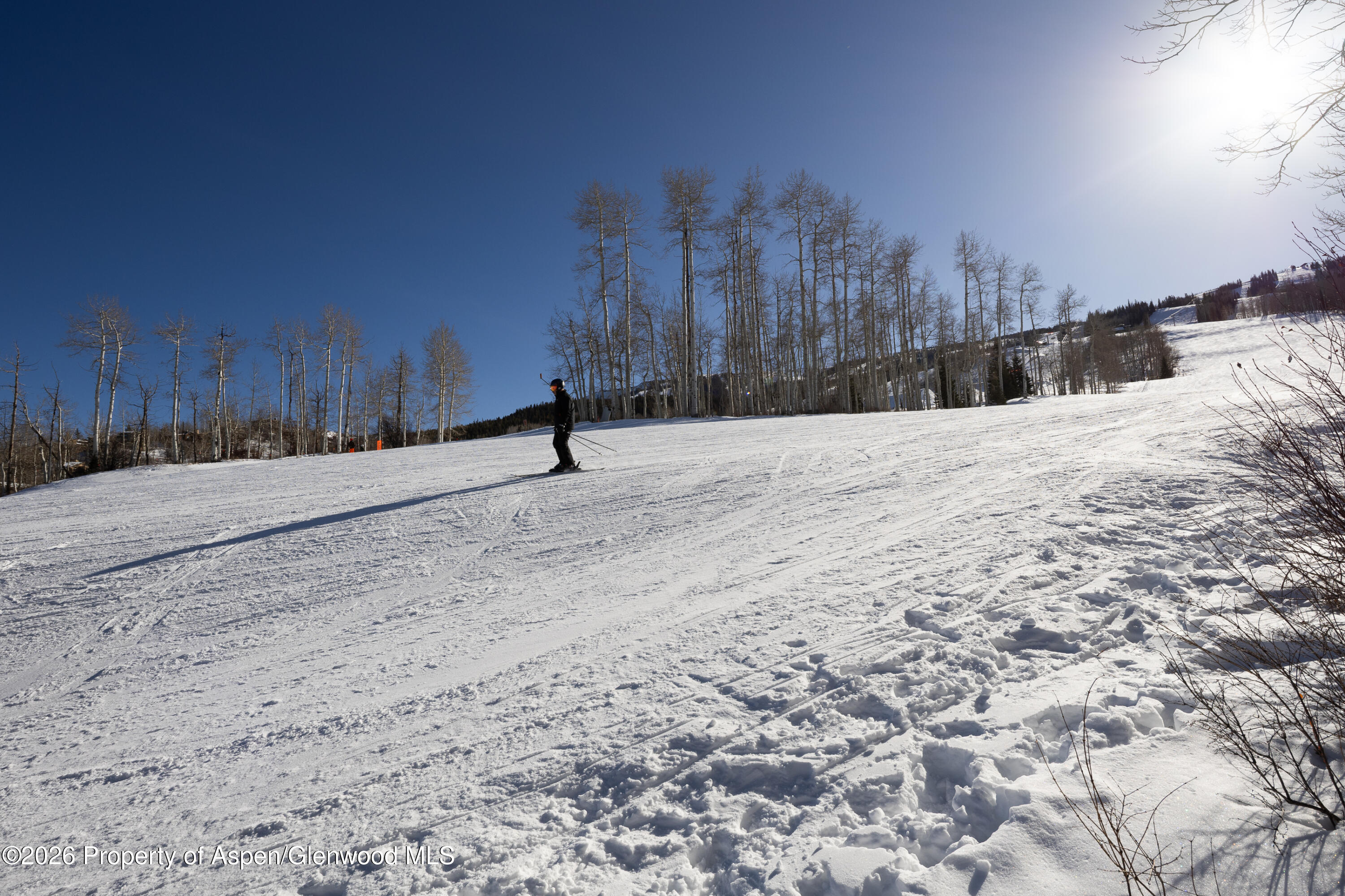 855 Carriage Way Snowmass Village CO 81615