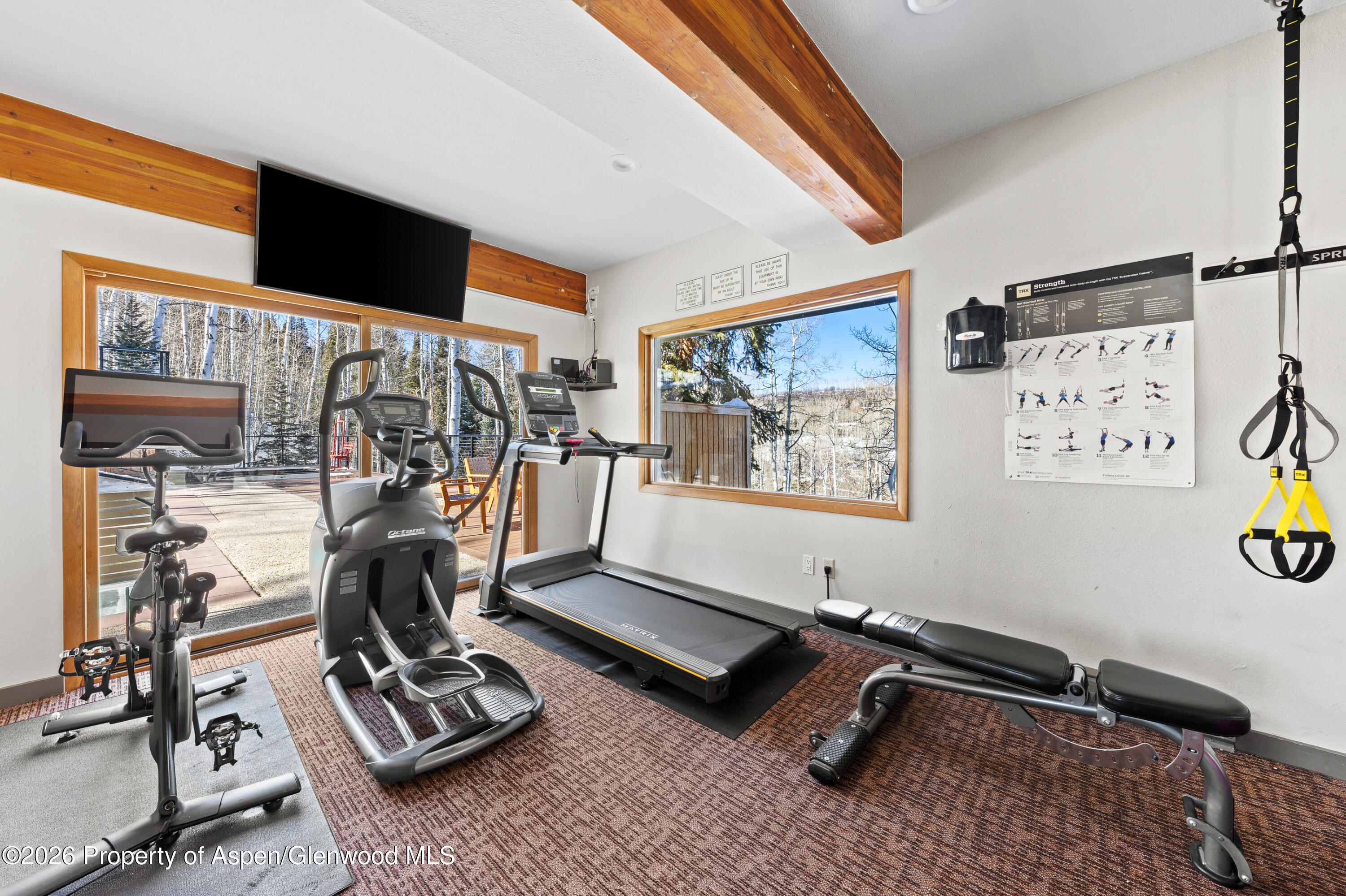 855 Carriage Way Snowmass Village CO 81615