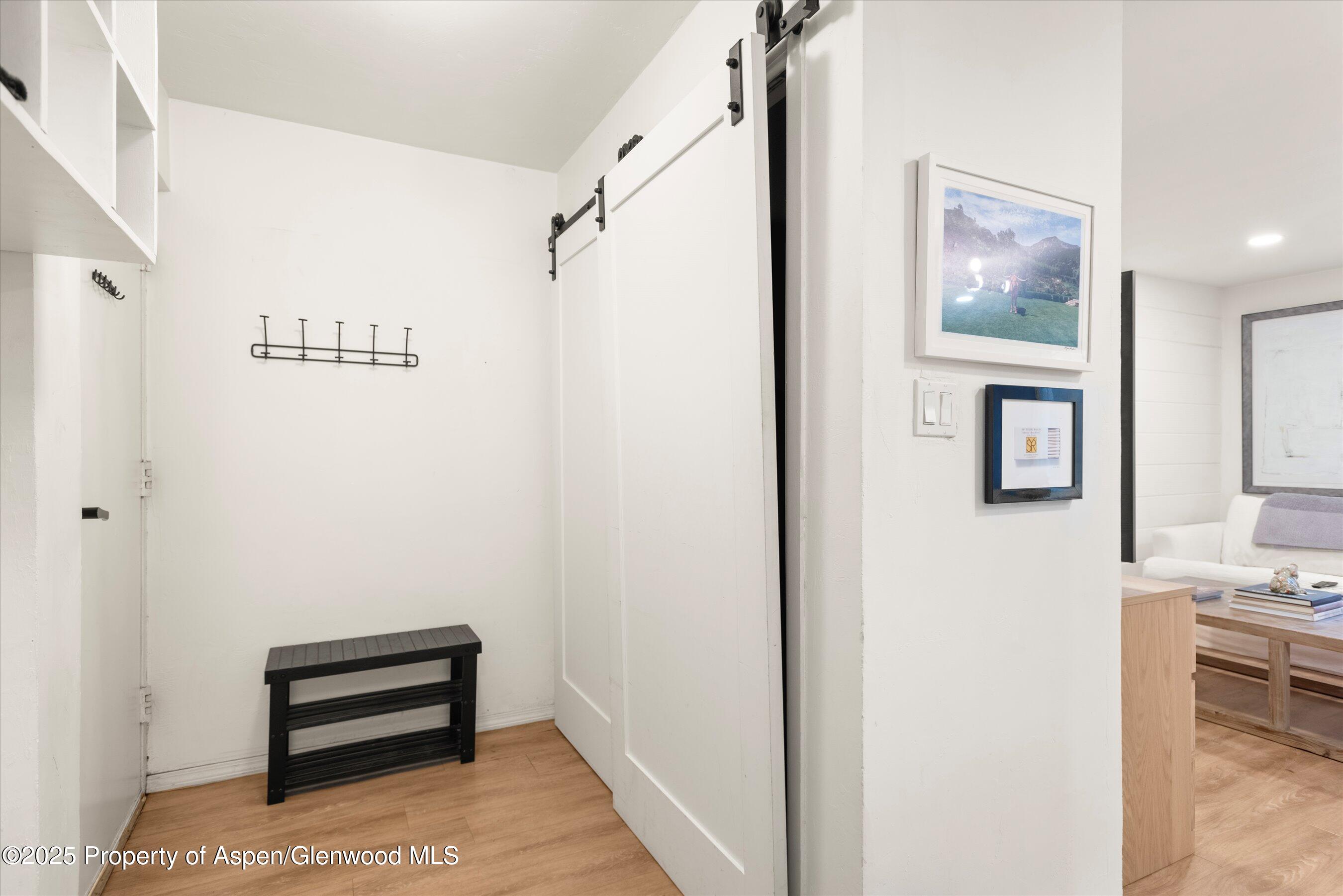 425 Park Circle Aspen CO 81611