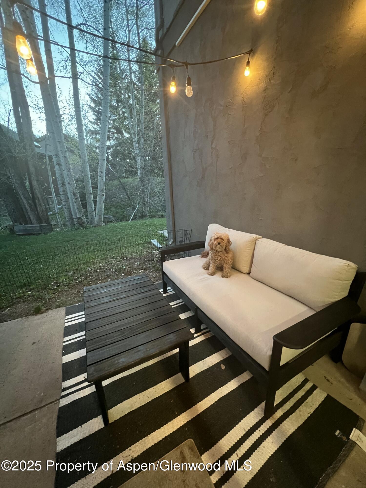 425 Park Circle Aspen CO 81611