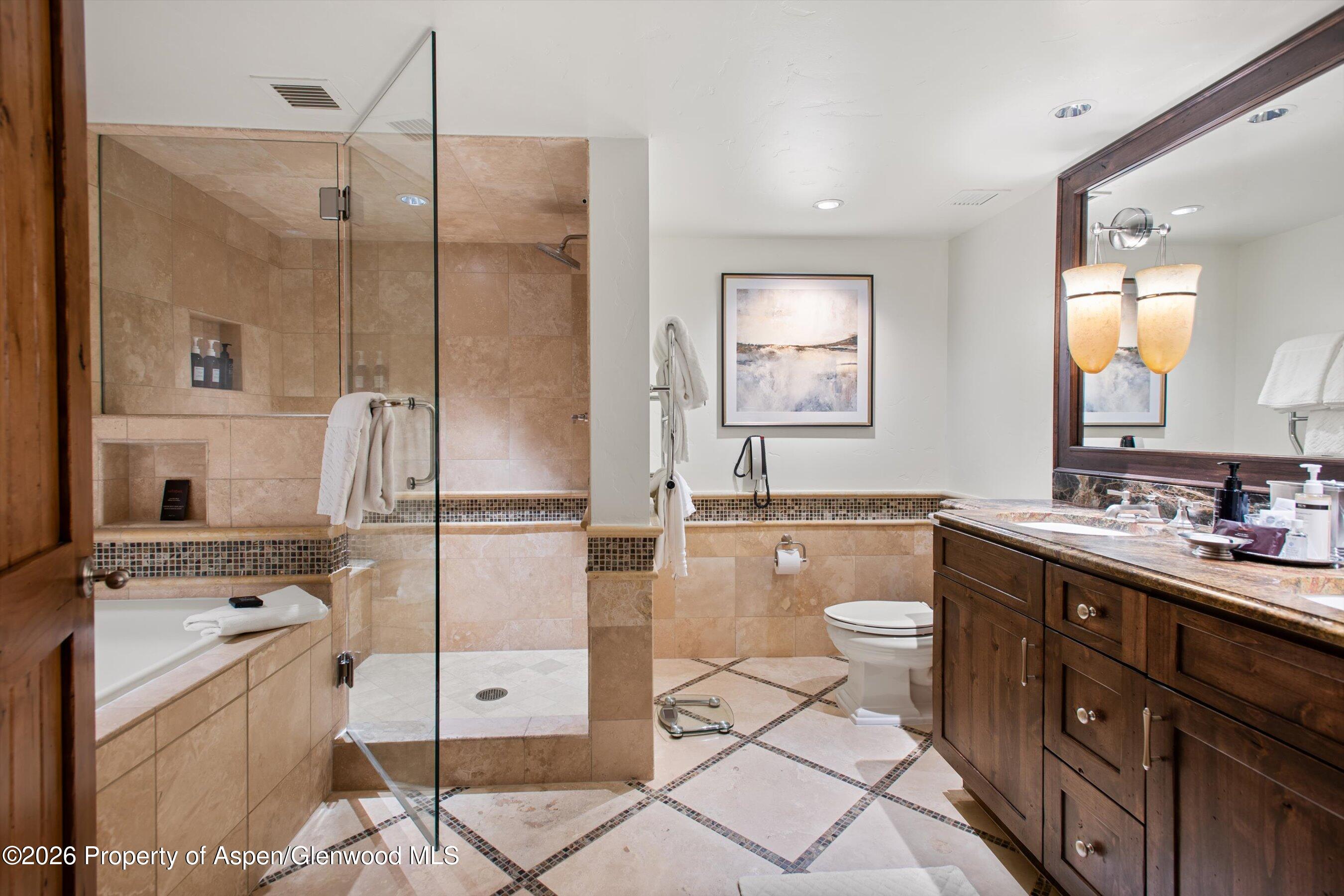 315 E Dean Street Aspen CO 81611