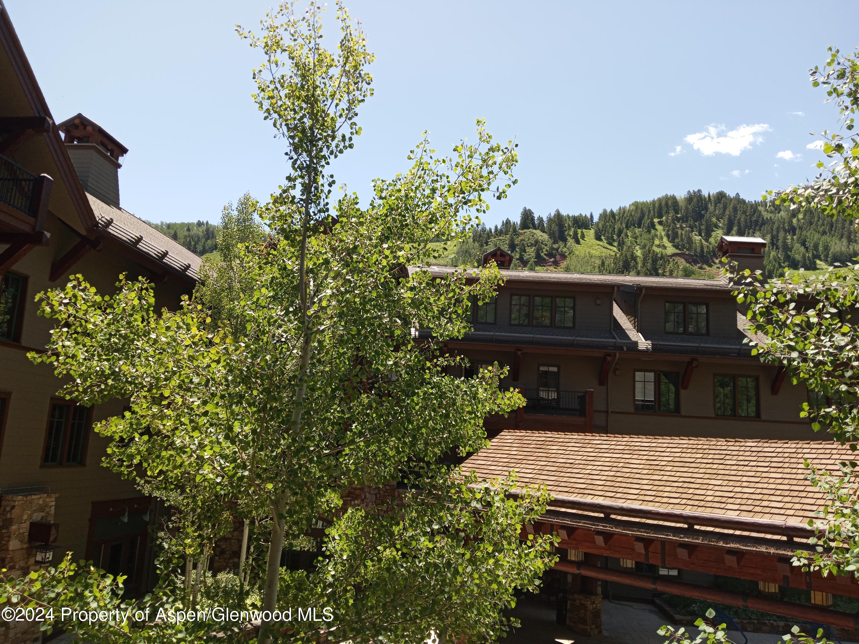 0039 Boomerang Road Aspen CO 81611