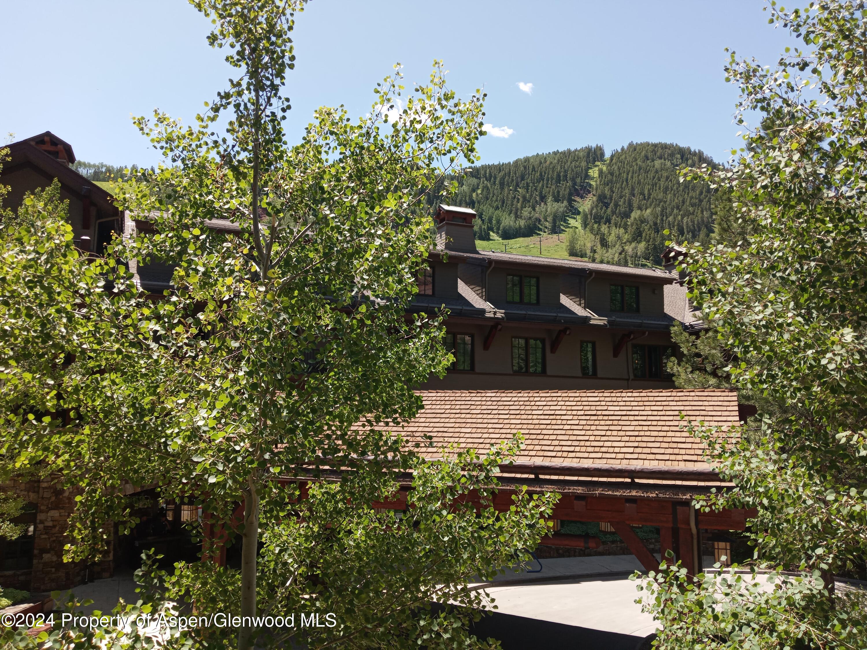 0039 Boomerang Road Aspen CO 81611
