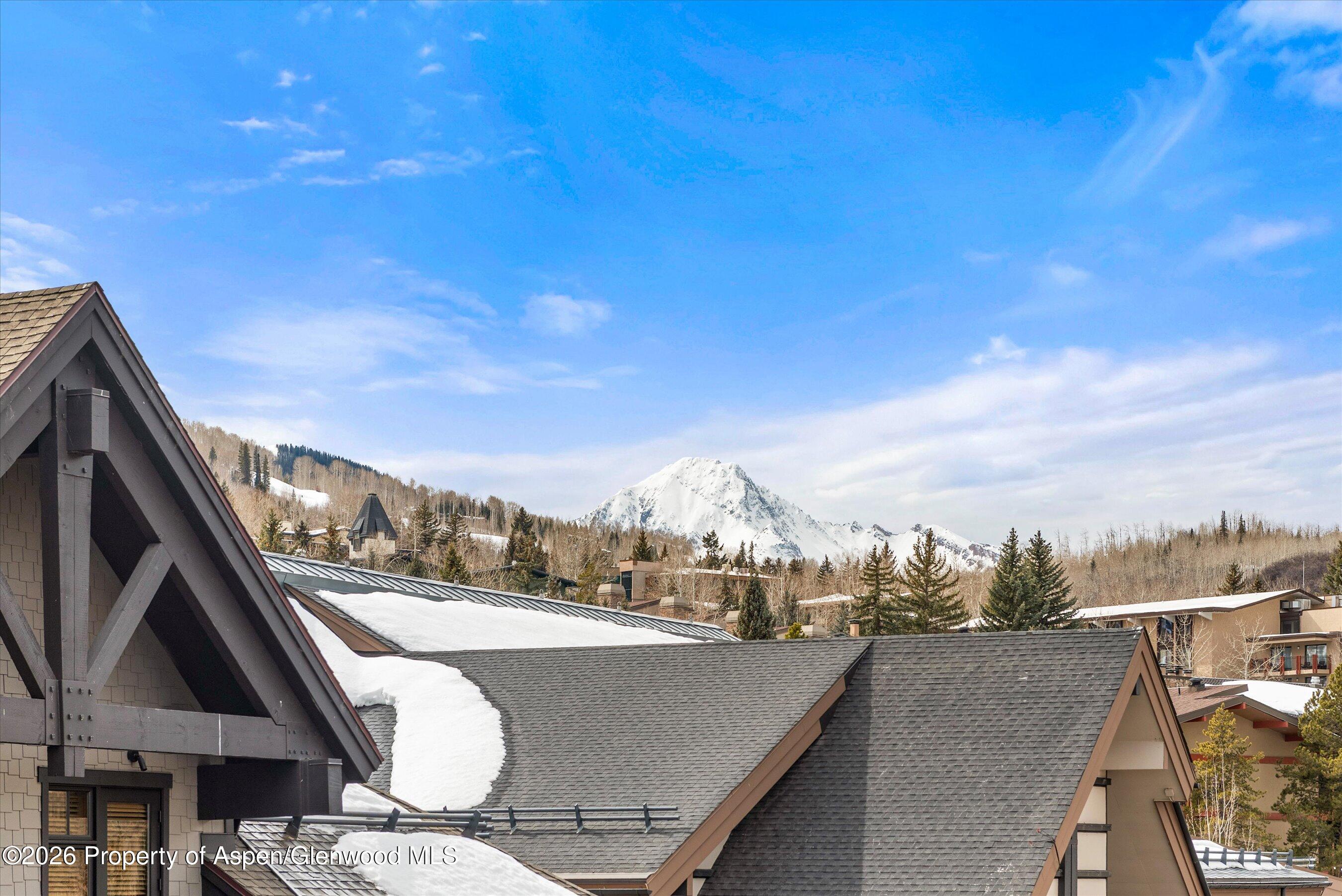 110 Carriage Way Snowmass Village CO 81615