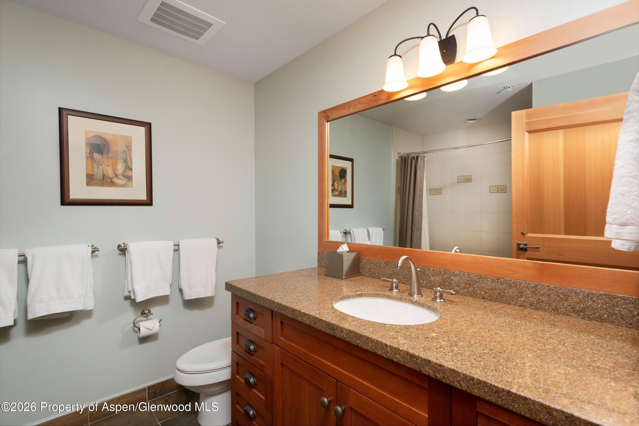 110 Carriage Way Snowmass Village CO 81615