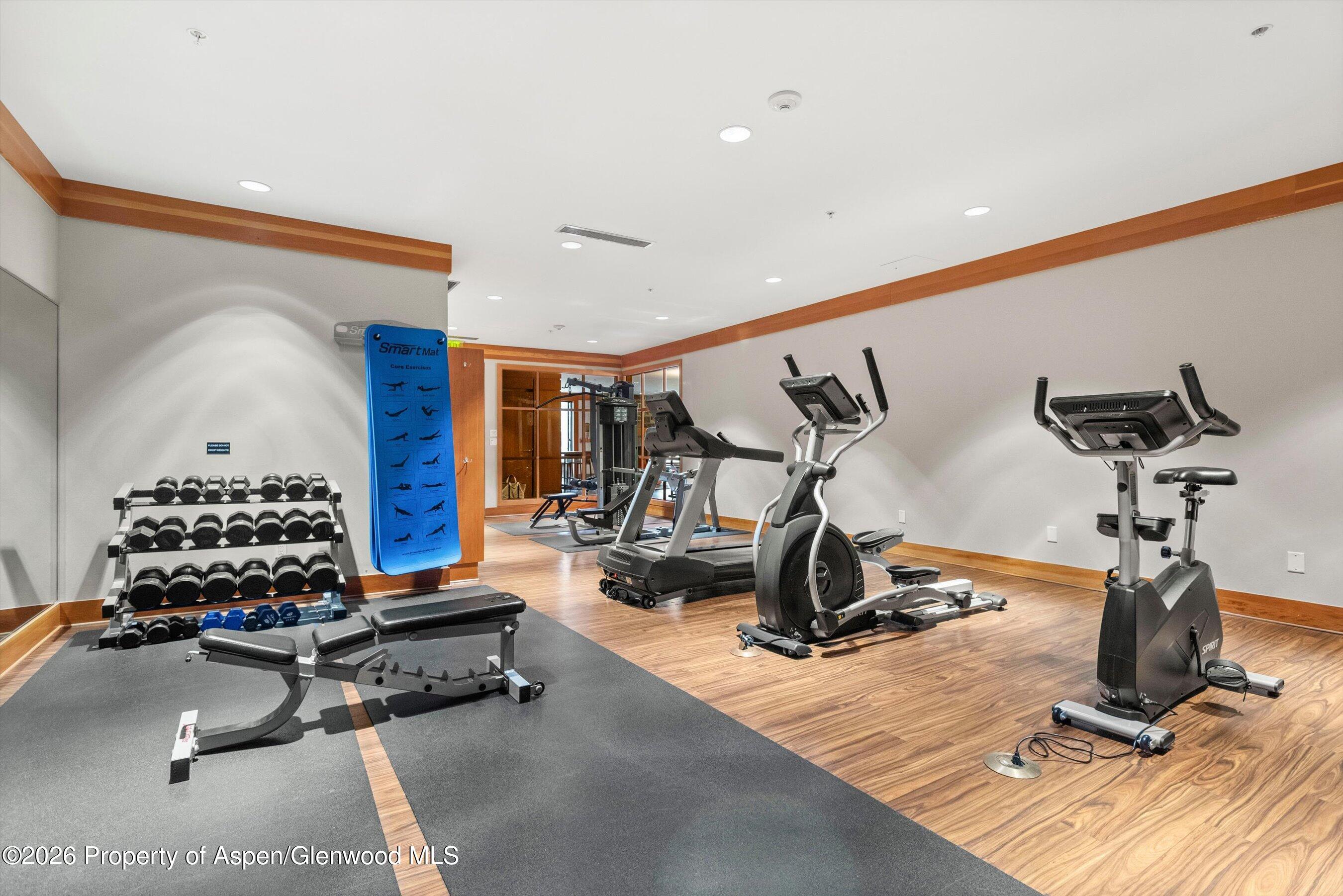 110 Carriage Way Snowmass Village CO 81615