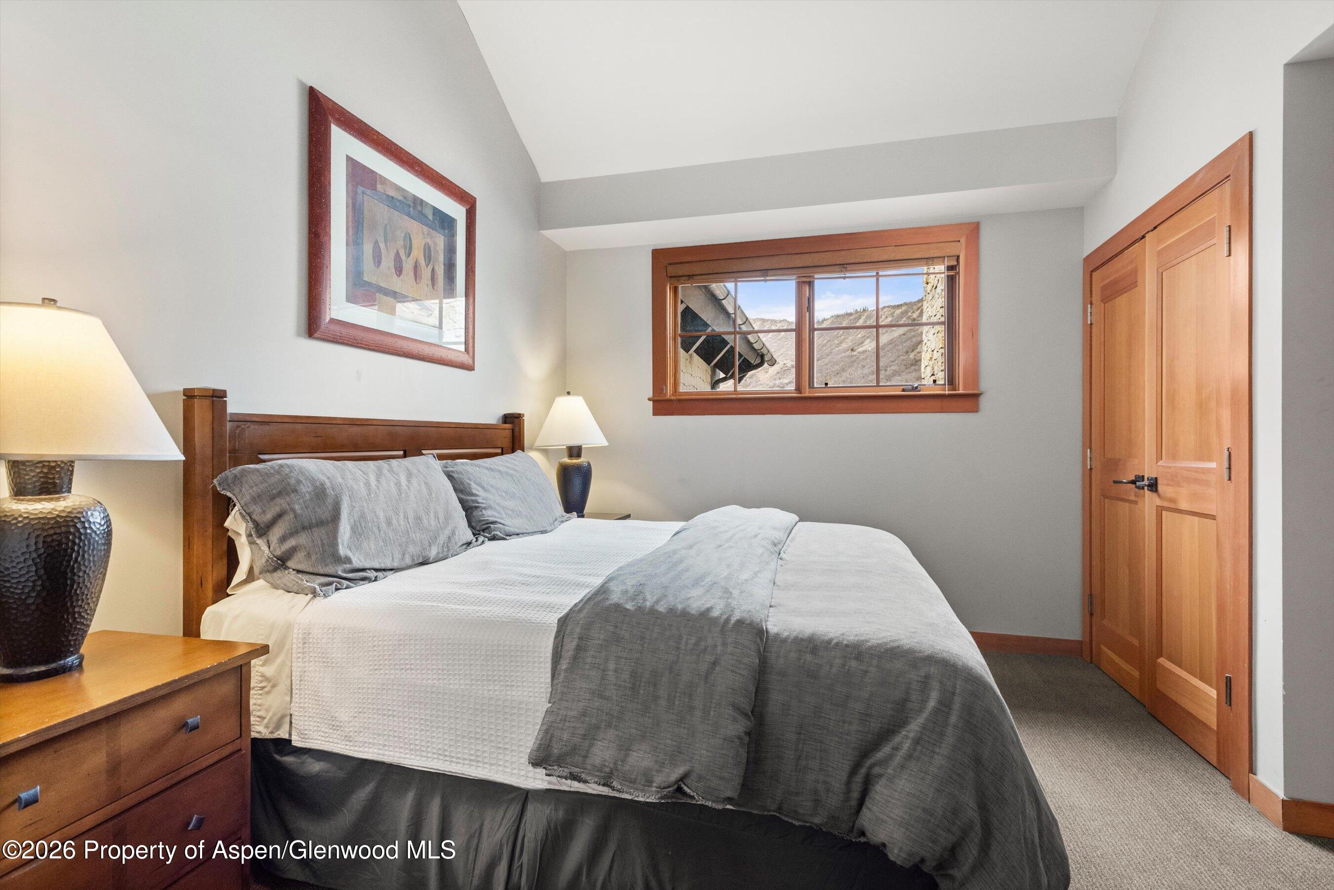 110 Carriage Way Snowmass Village CO 81615