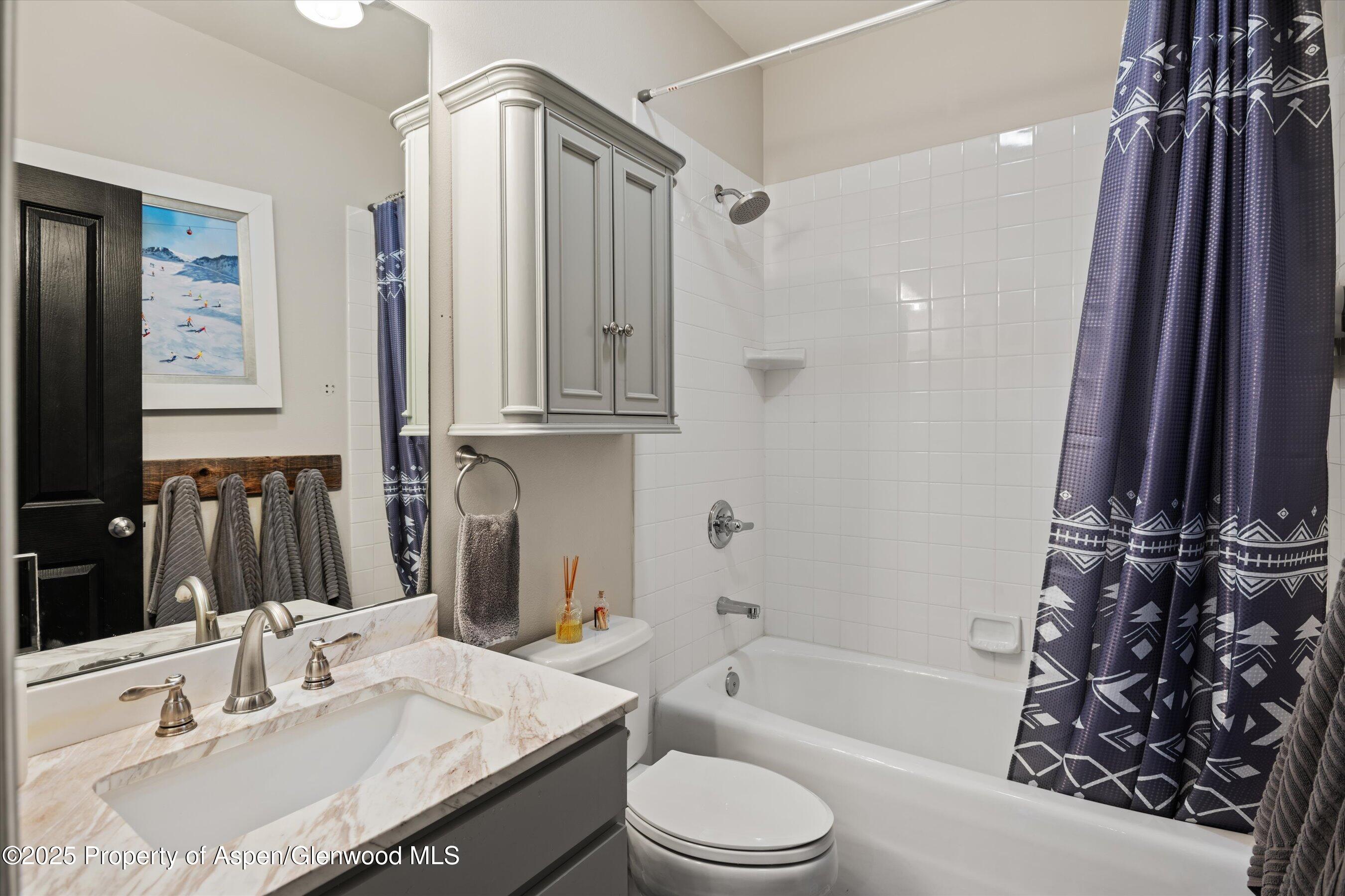 712 Evans Court Basalt CO 81621