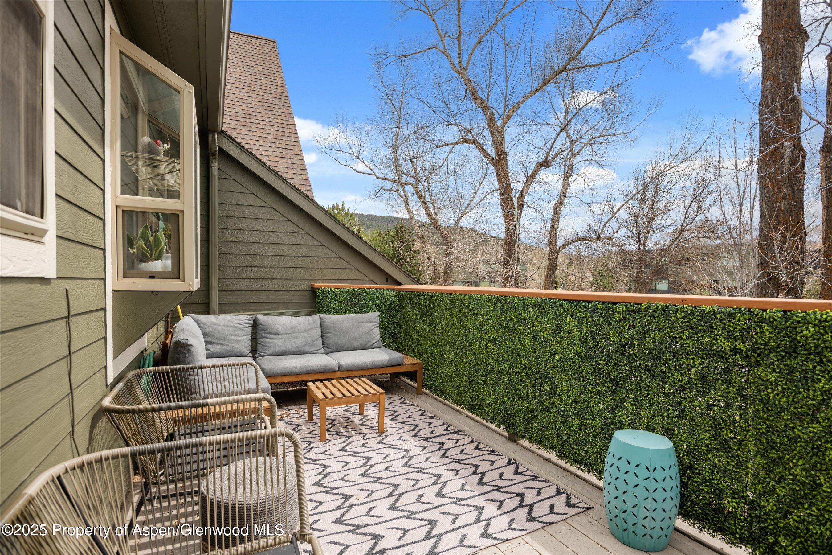 712 Evans Court Basalt CO 81621