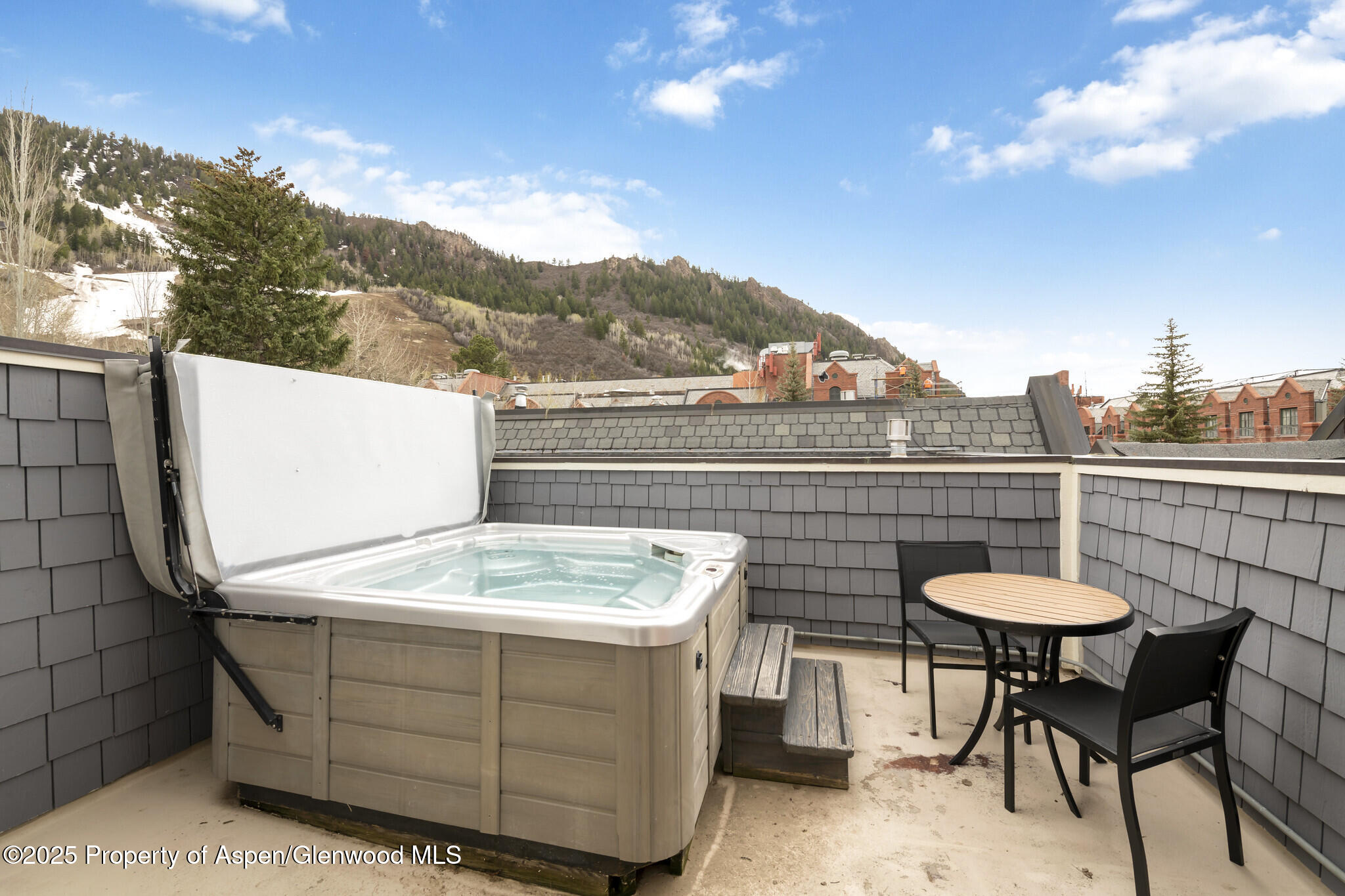 415 E Dean St, Unit 50, Week 8 Aspen CO 81611