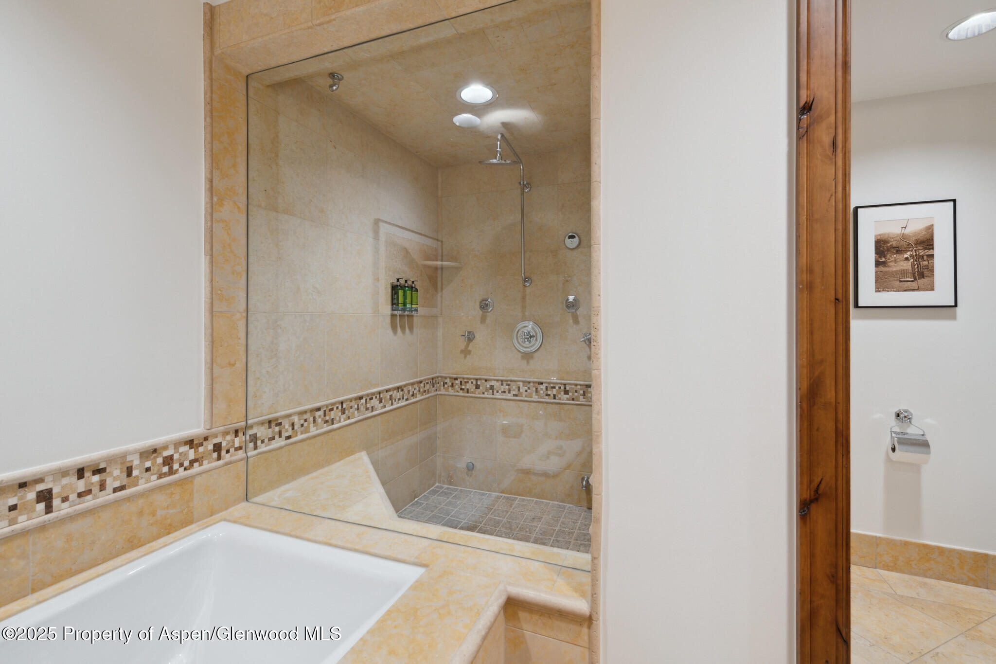 415 E Dean St, Unit 50, Week 8 Aspen CO 81611