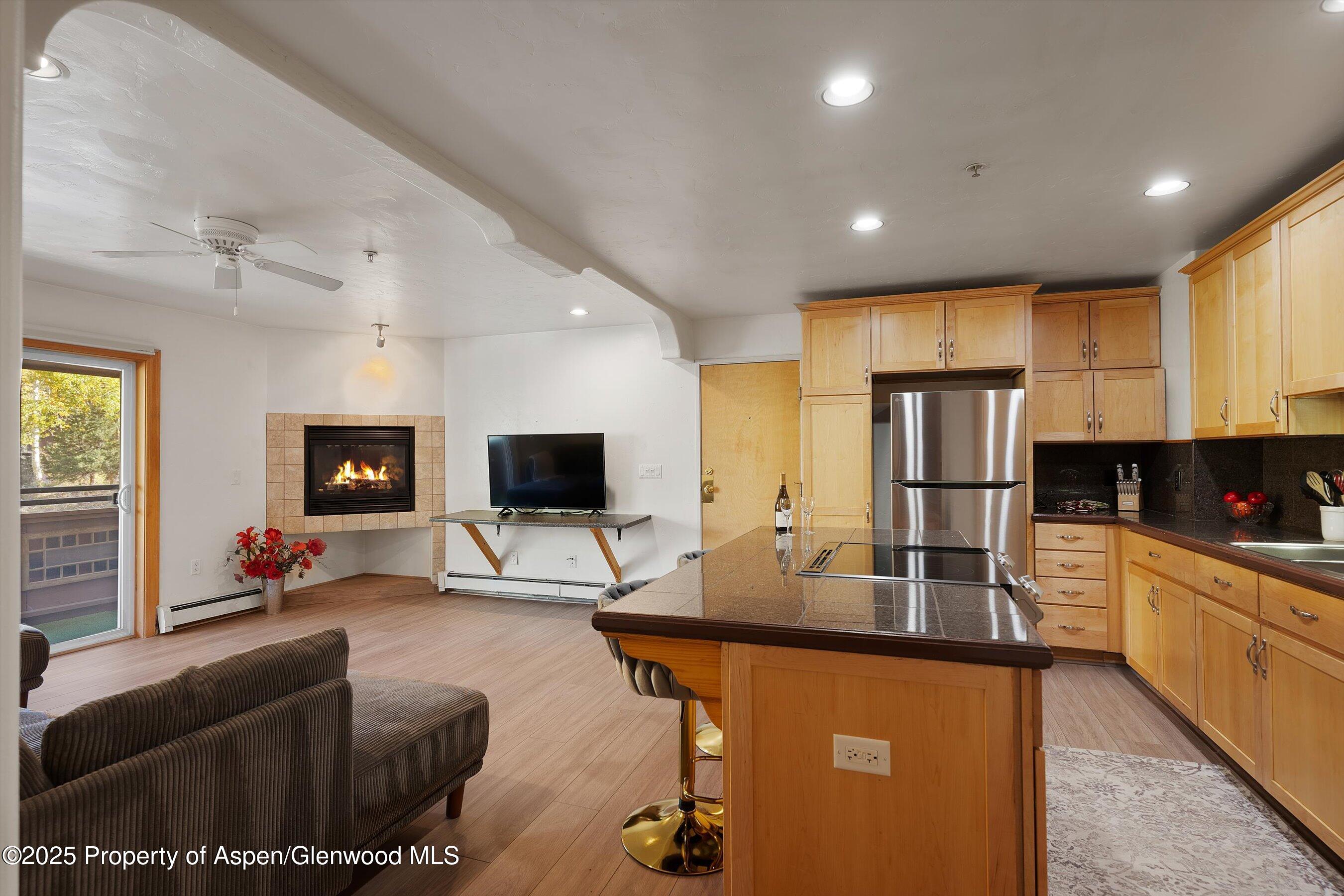 Aspen CO, 326 Midland Avenue, Unit 306