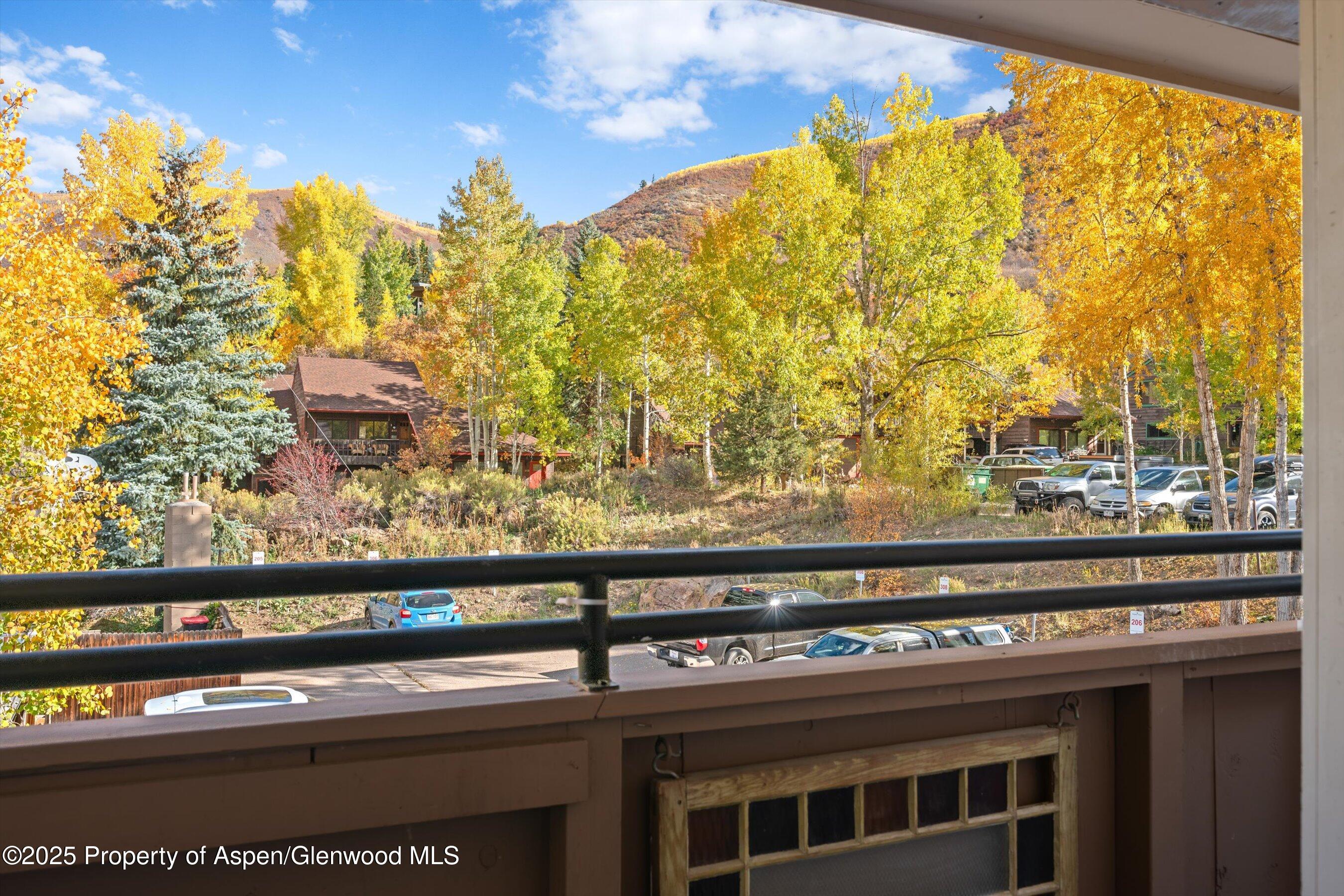 326 Midland Avenue Aspen CO 81611