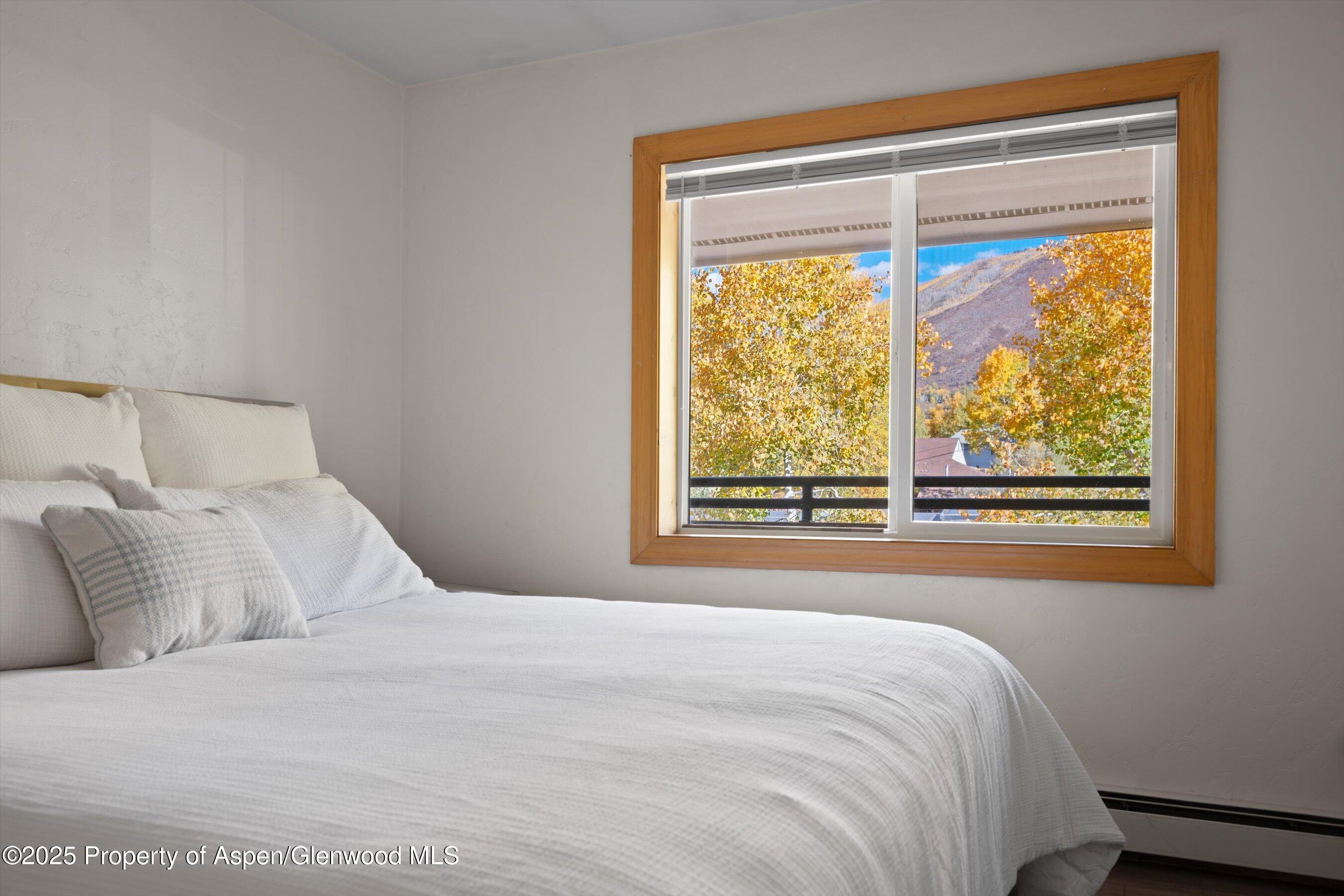 326 Midland Avenue Aspen CO 81611