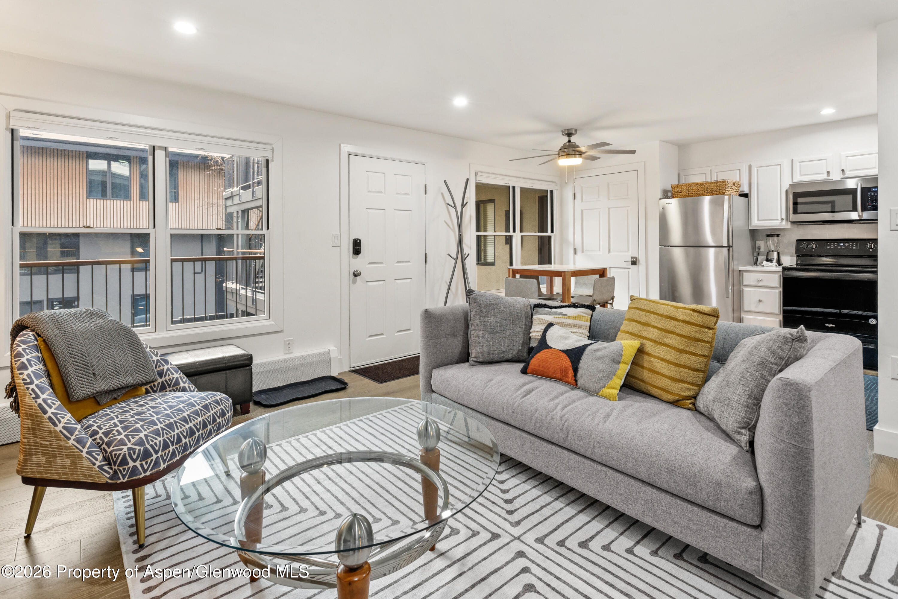 1020 E Durant Avenue Aspen CO 81611