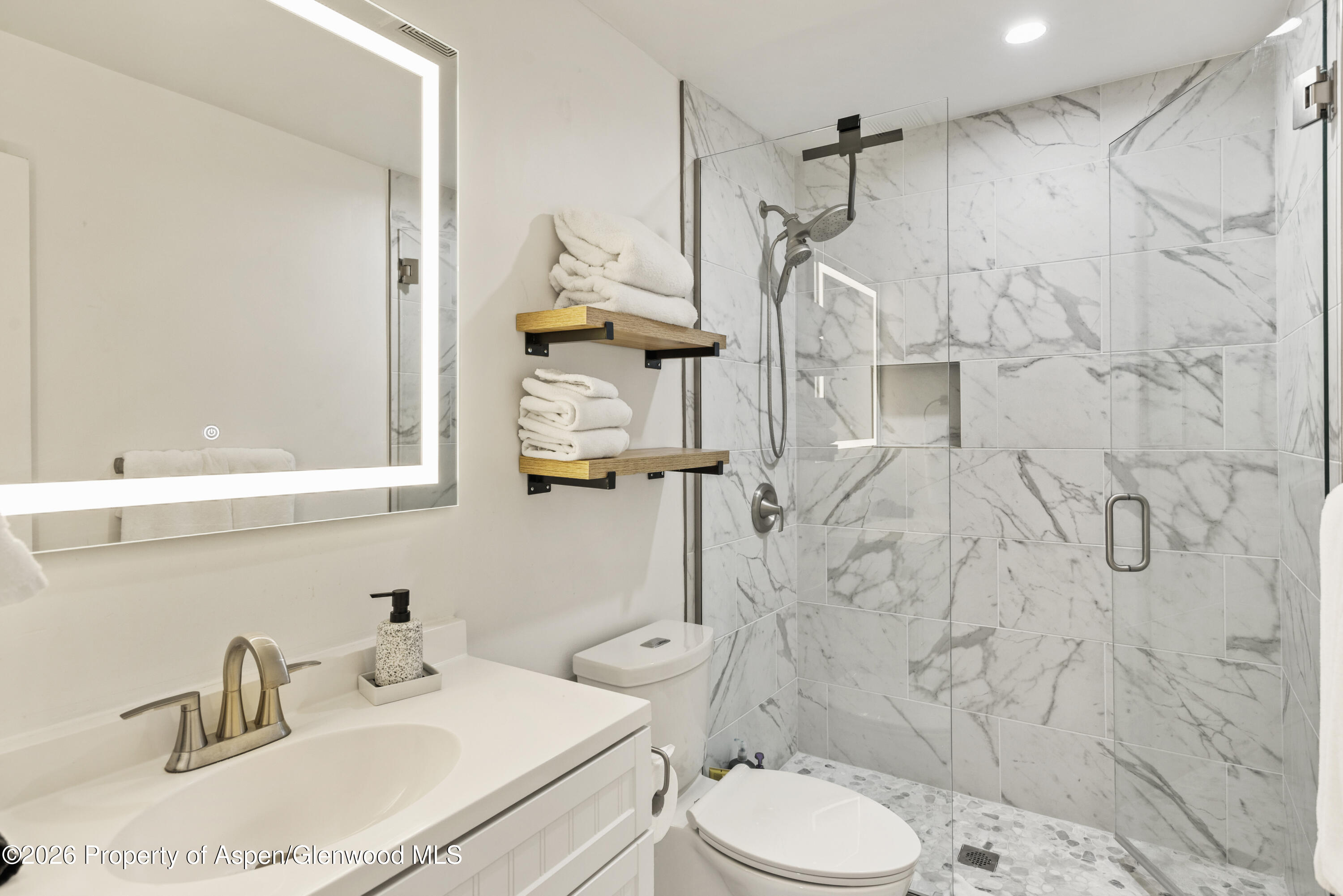 1020 E Durant Avenue Aspen CO 81611