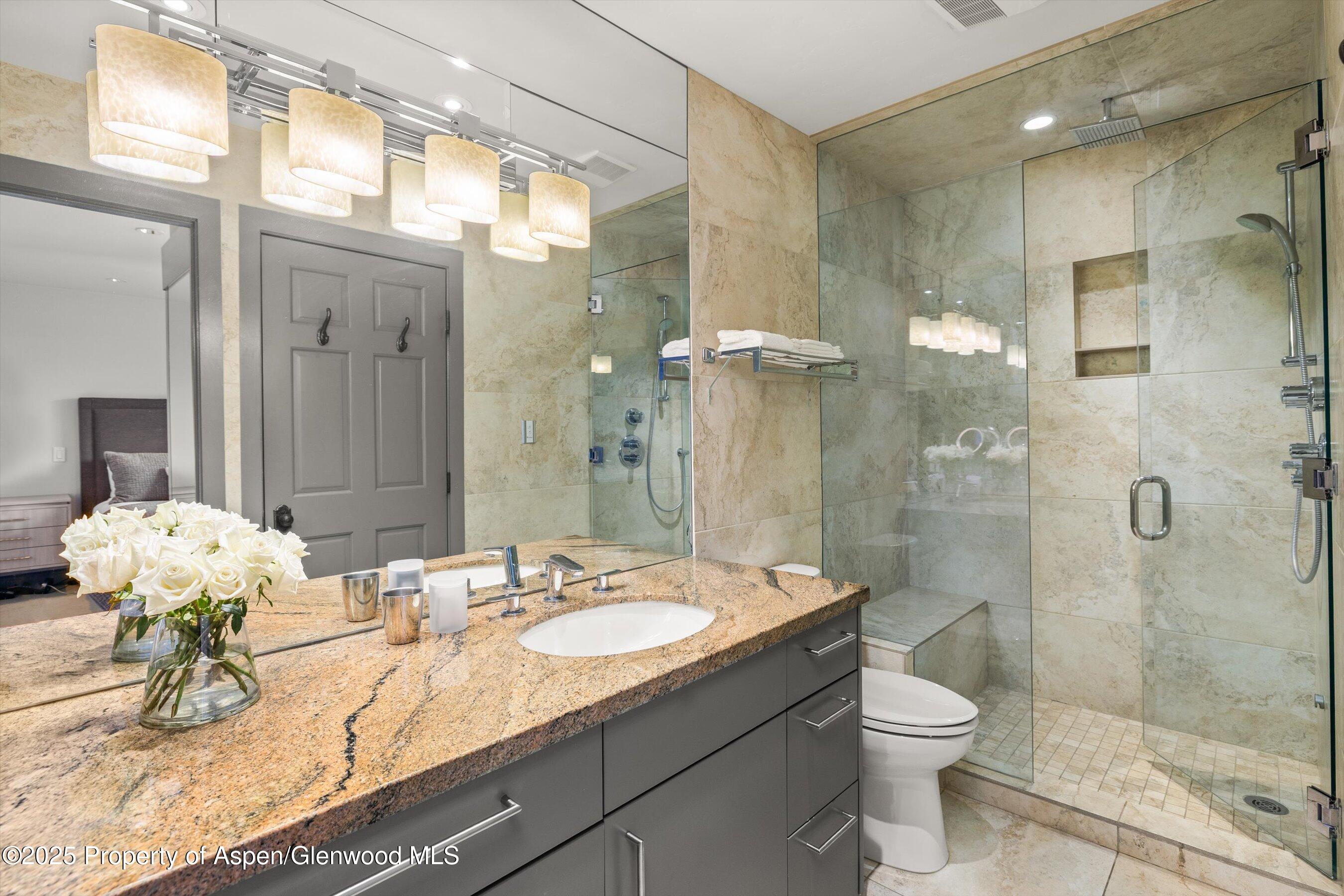 610 S West End Street Aspen CO 81611