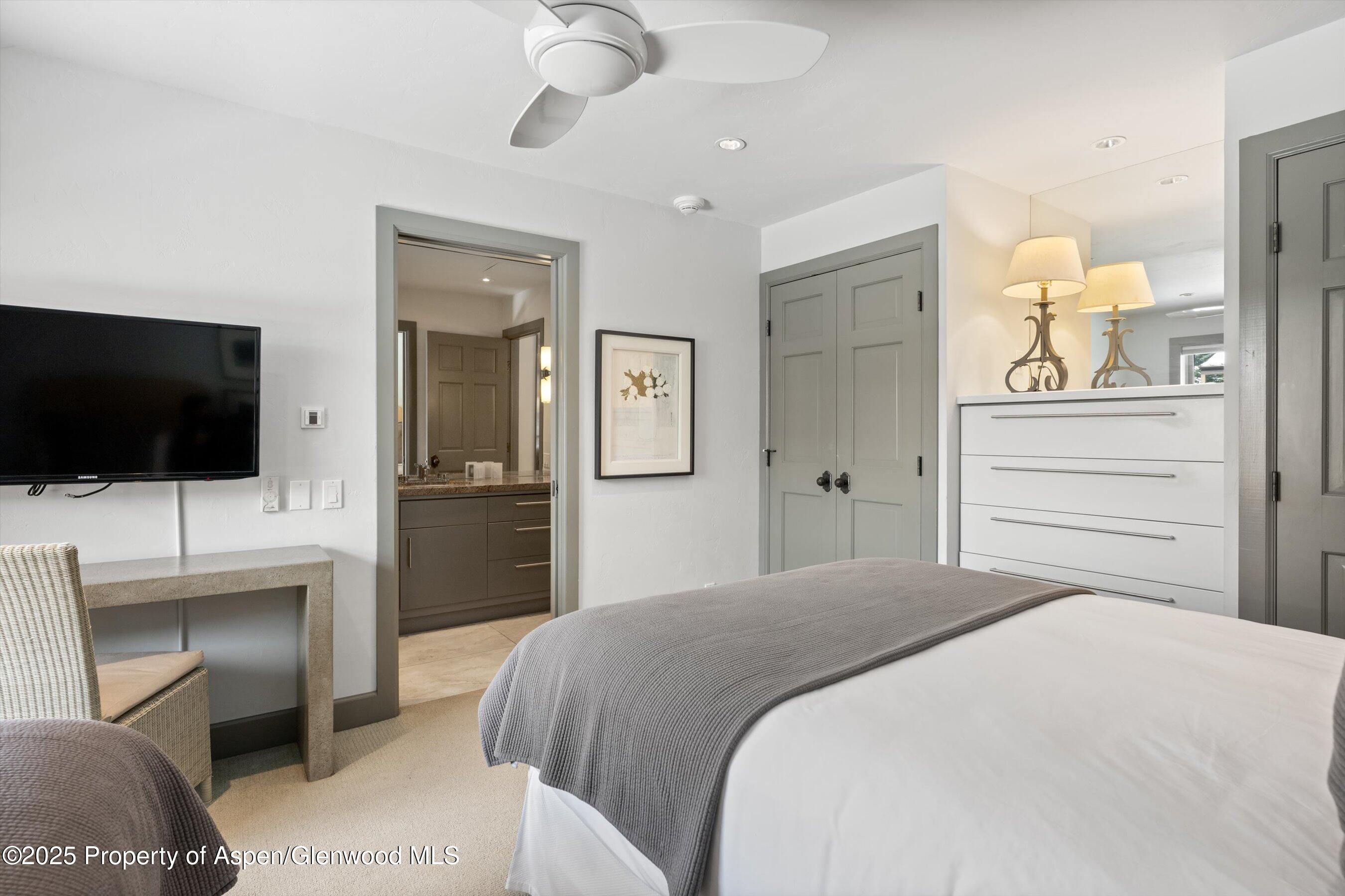 610 S West End Street Aspen CO 81611