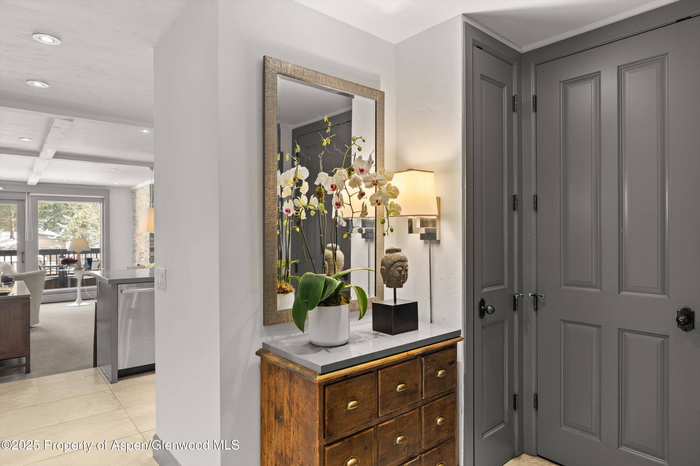 610 S West End Street Aspen CO 81611