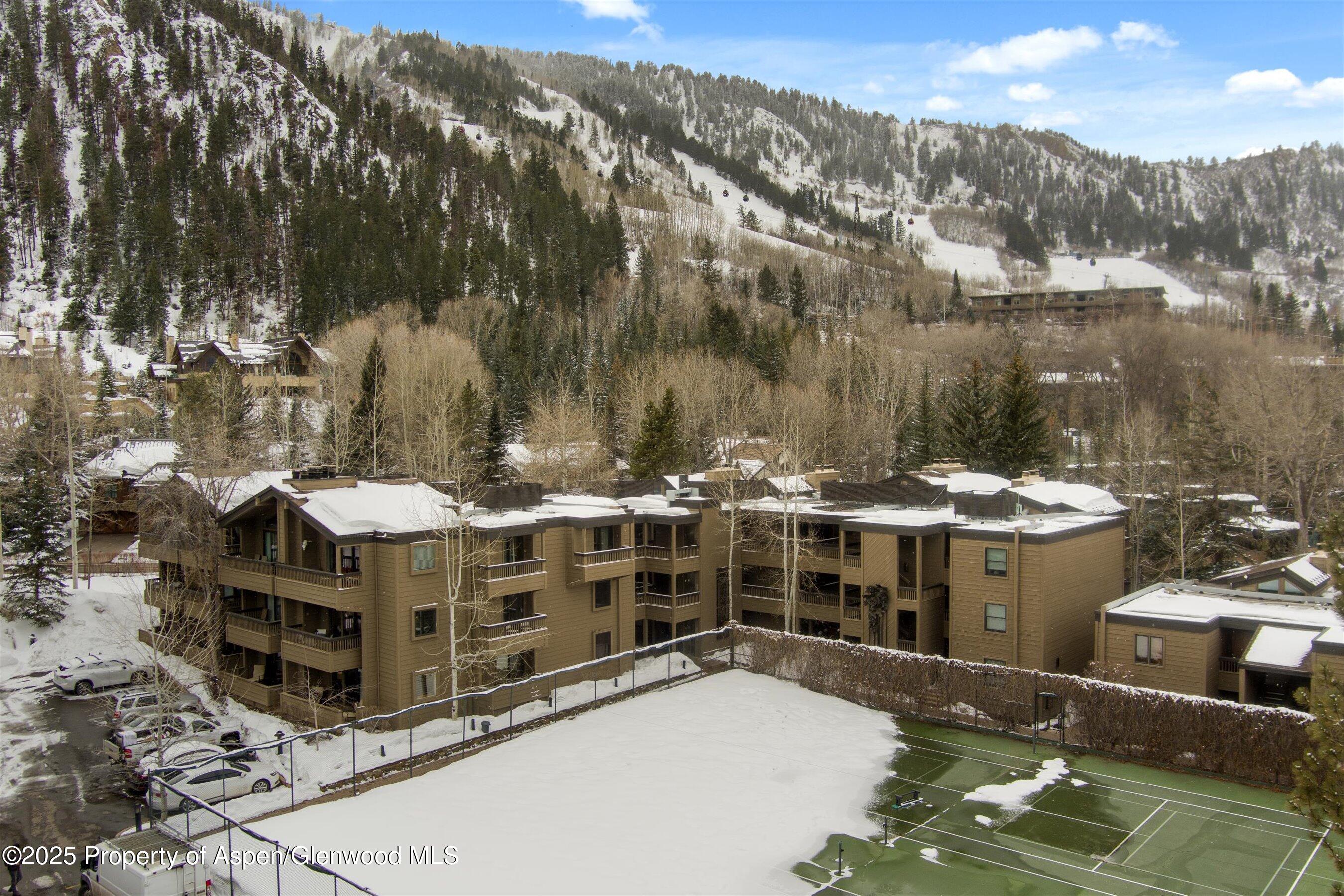 610 S West End Street Aspen CO 81611