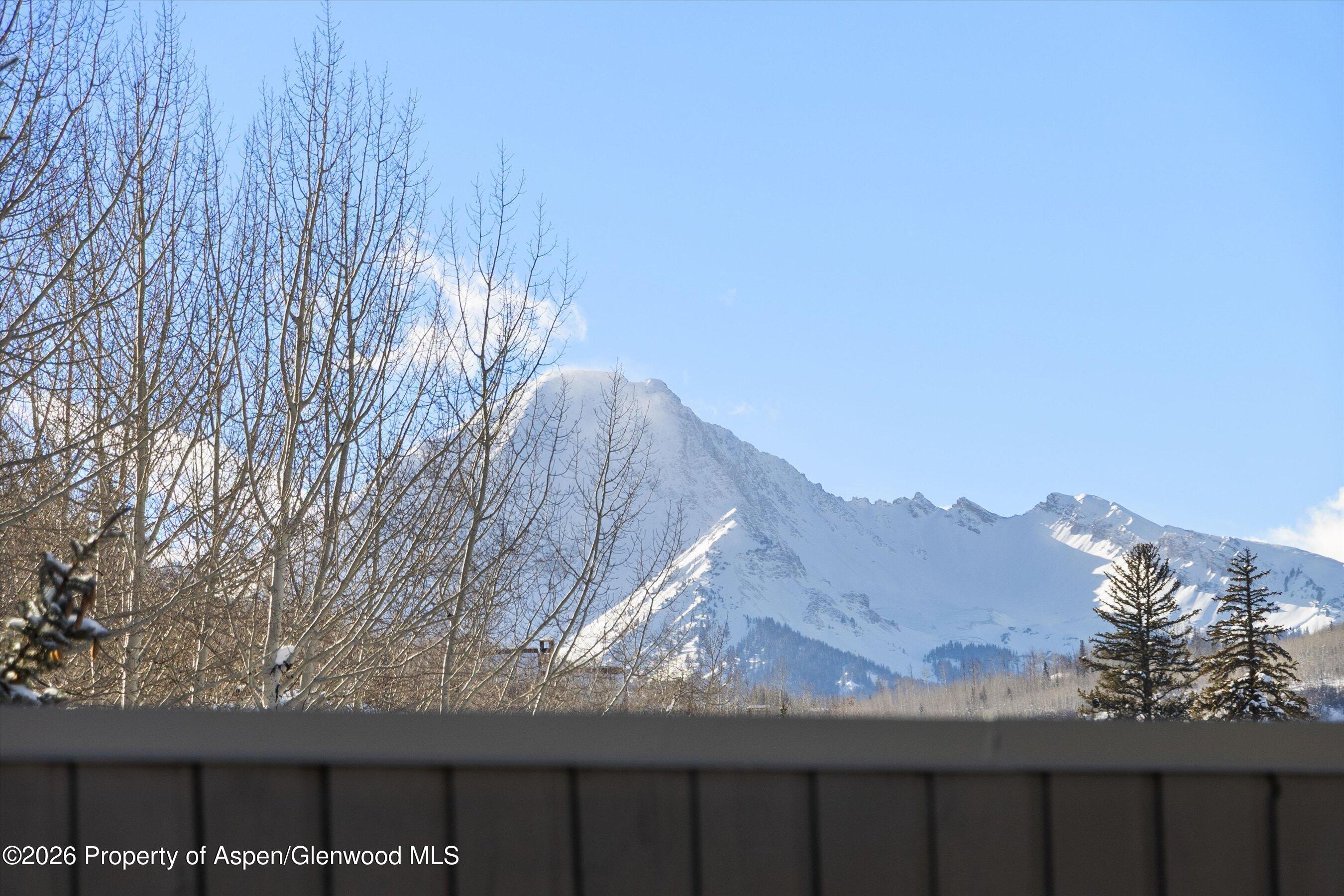 221 Meadow Ranch Drive Snowmass Village CO 81615