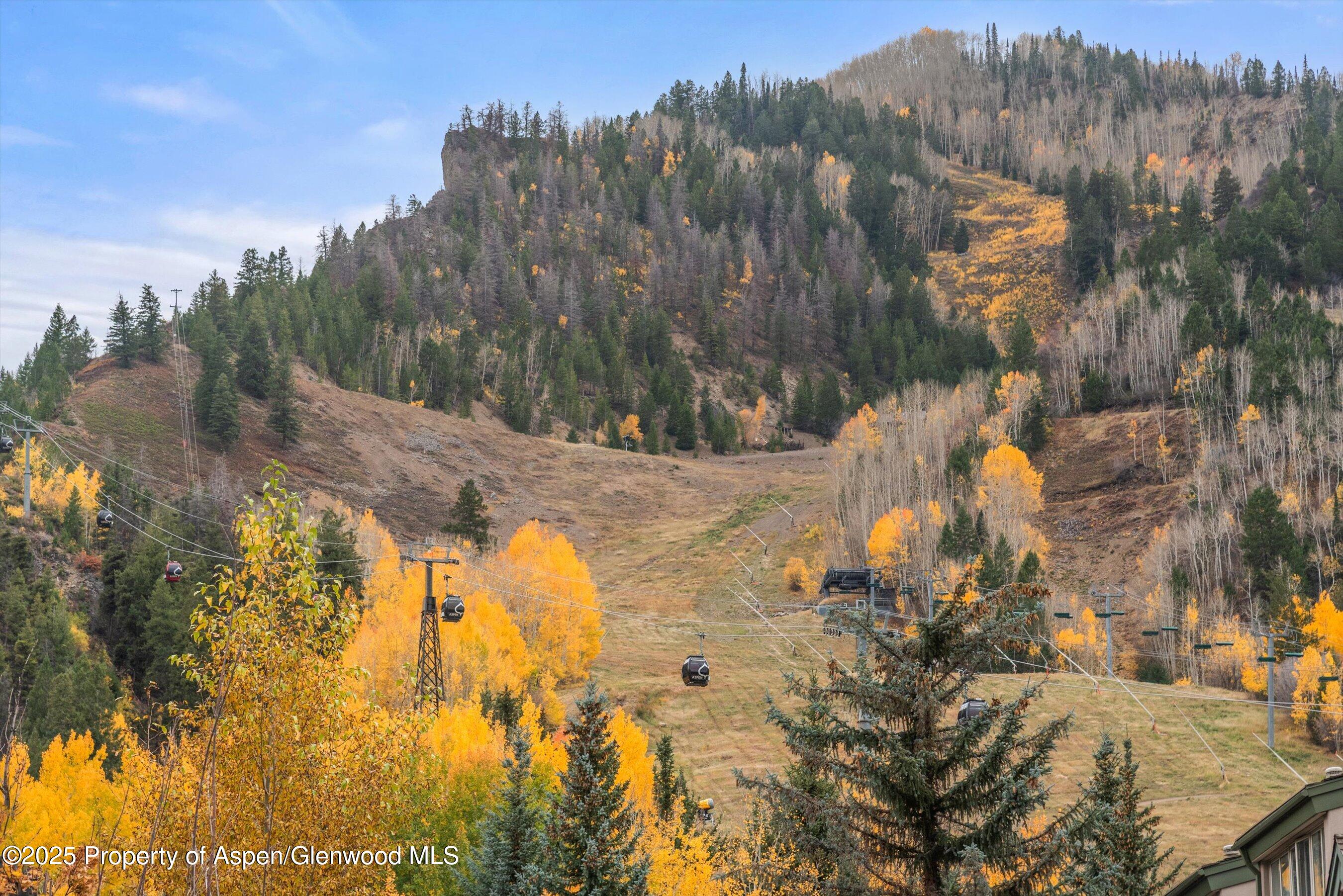 725 E Durant Avenue Aspen CO 81611