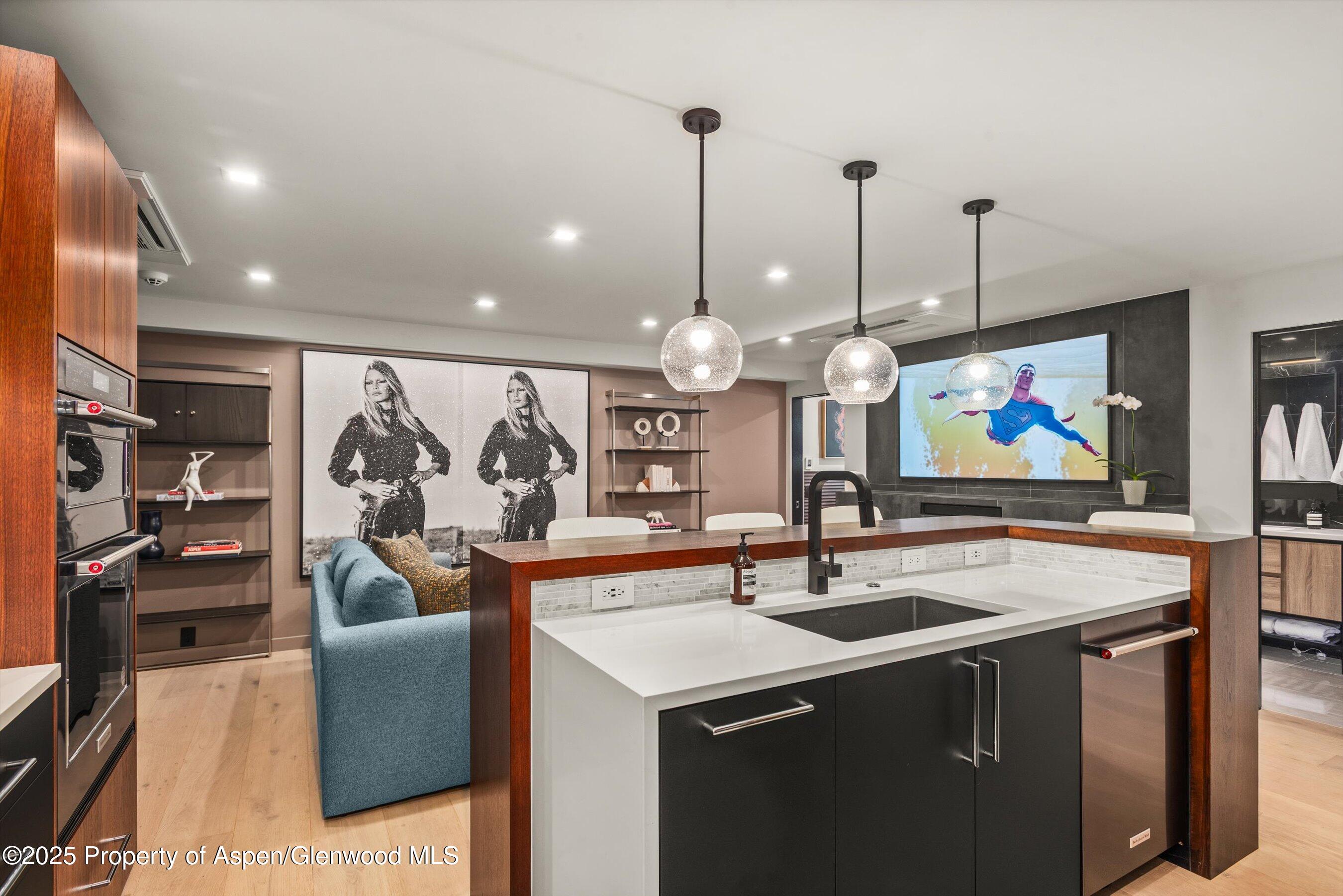 725 E Durant Avenue Aspen CO 81611