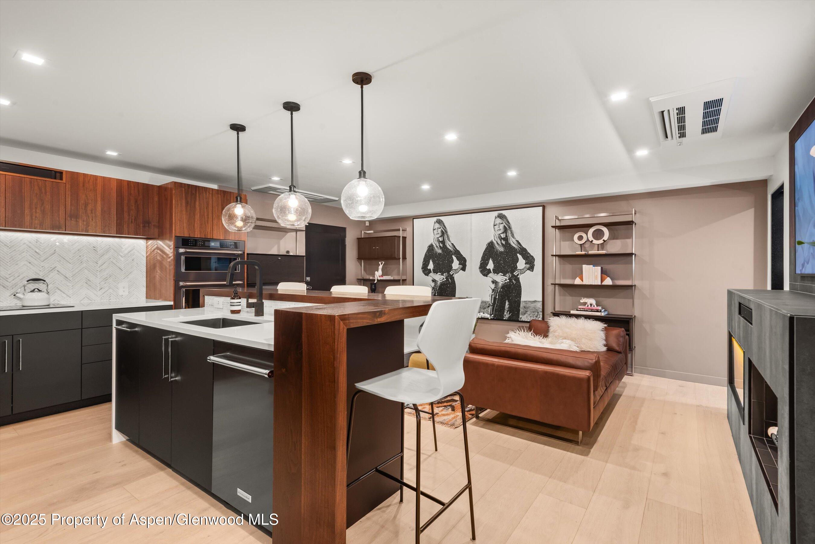 725 E Durant Avenue Aspen CO 81611