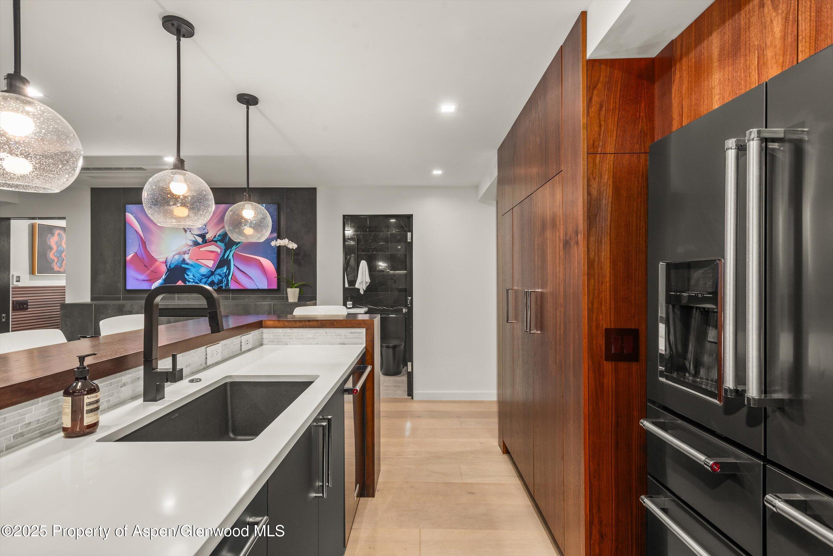 725 E Durant Avenue Aspen CO 81611