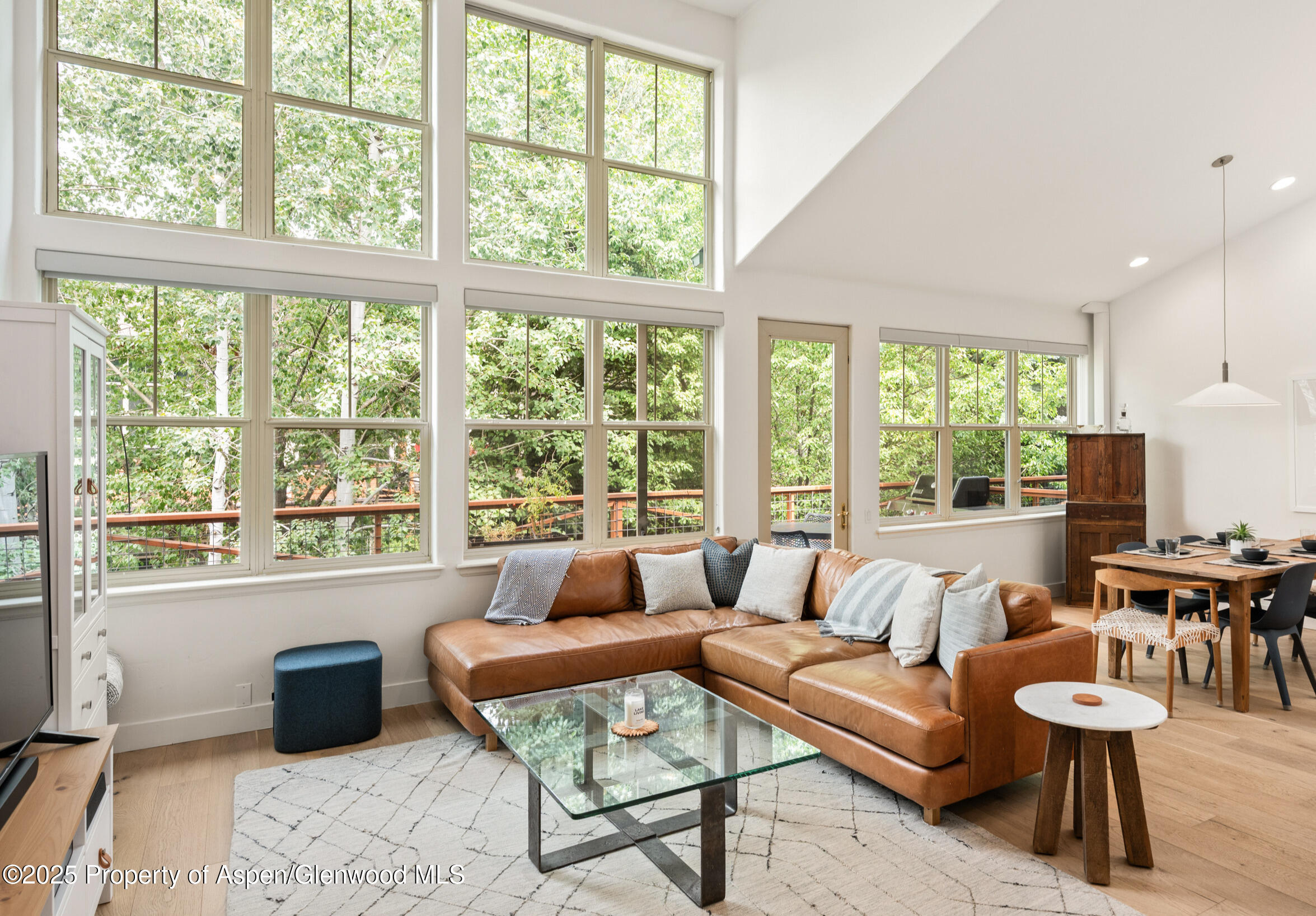 545 Evans Court Basalt CO 81621