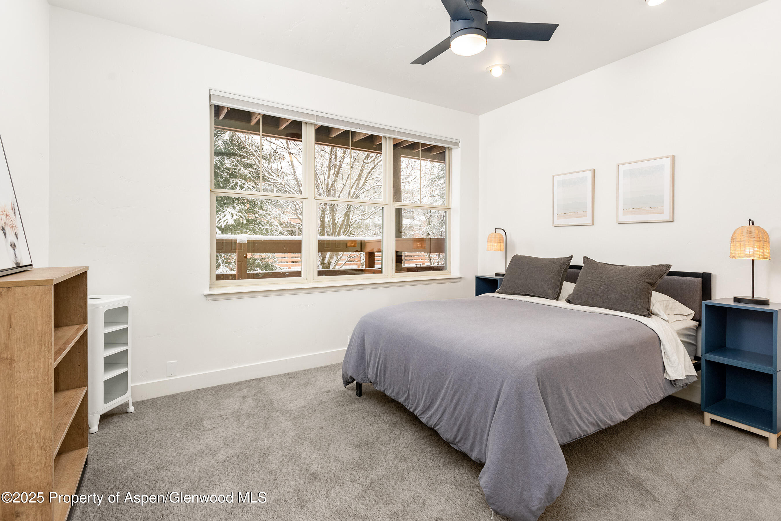 545 Evans Court Basalt CO 81621