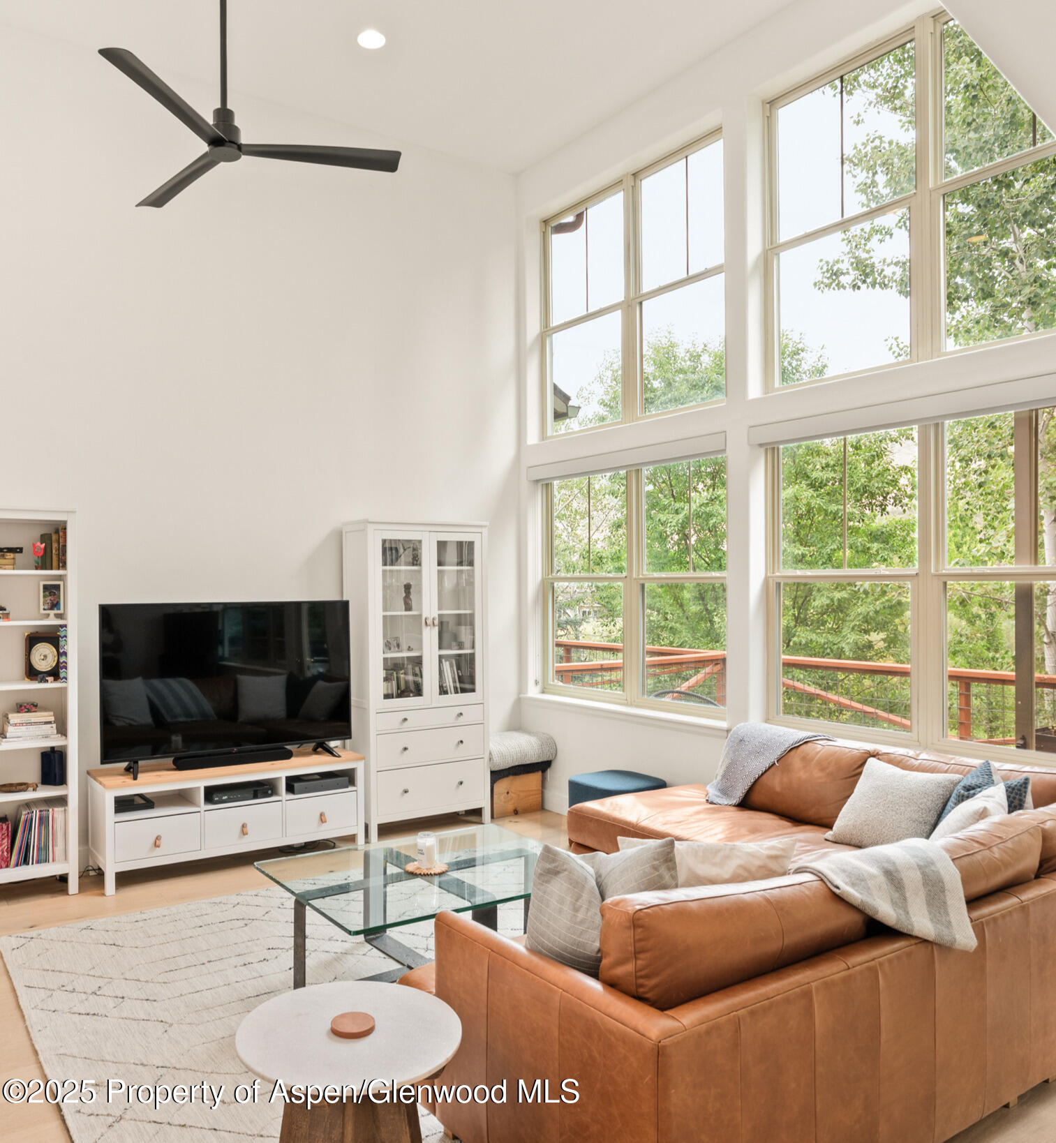 545 Evans Court Basalt CO 81621