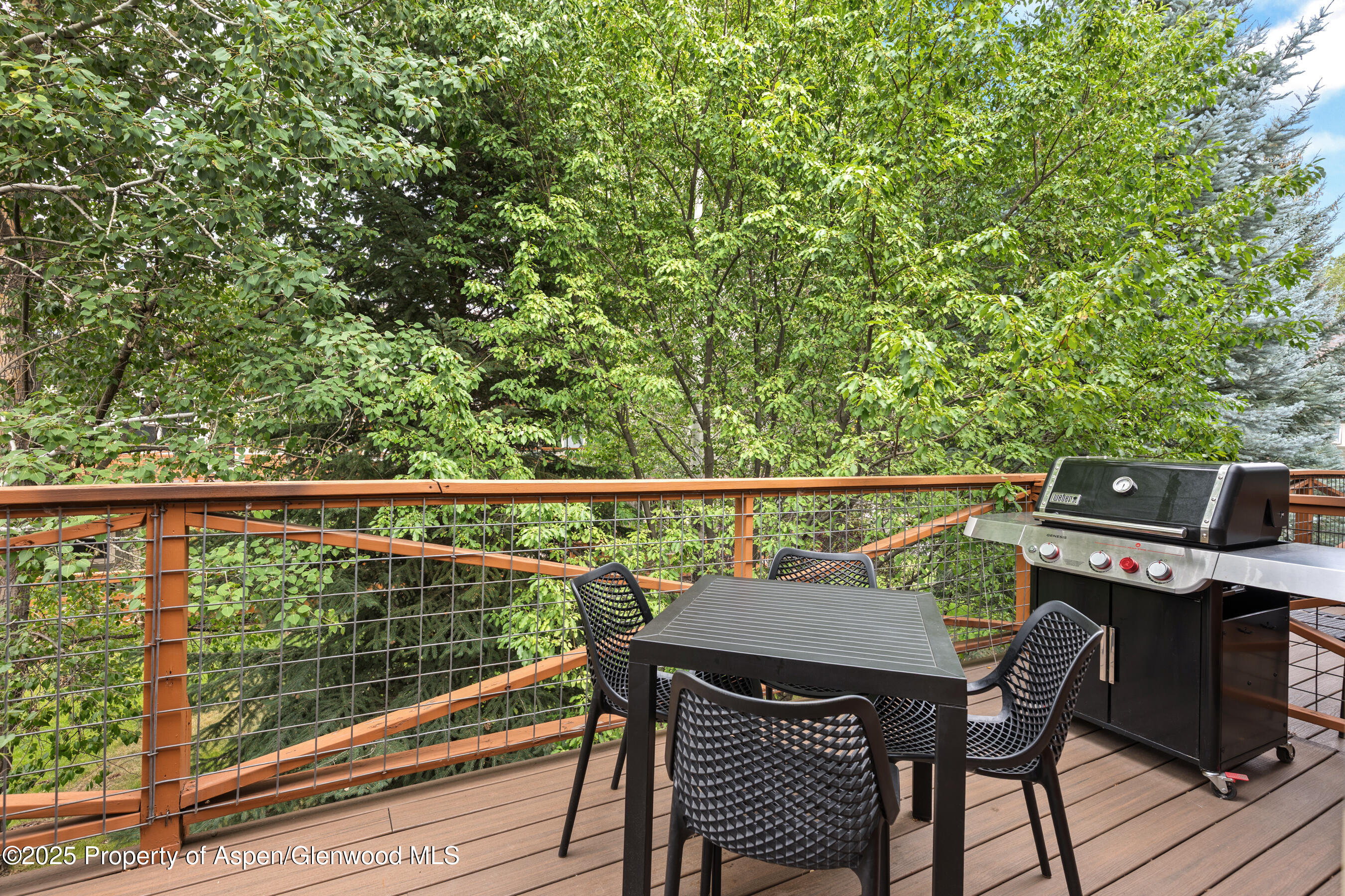 545 Evans Court Basalt CO 81621