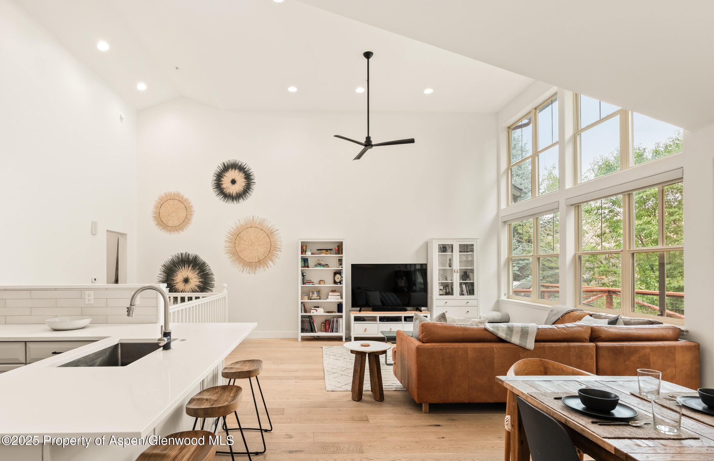 545 Evans Court Basalt CO 81621