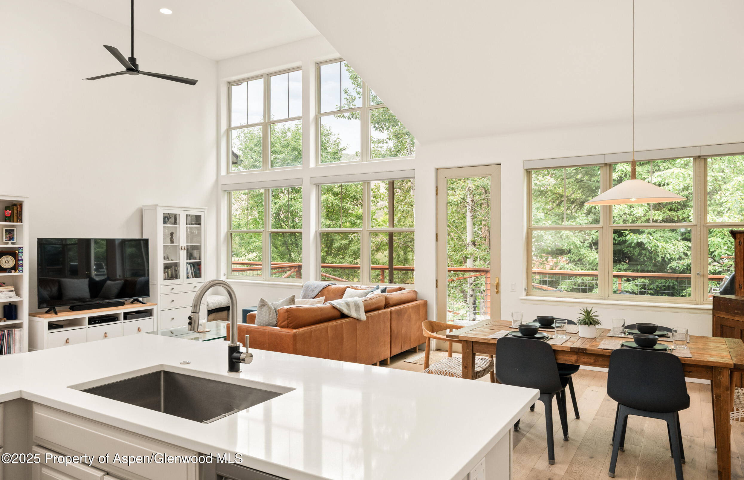 545 Evans Court Basalt CO 81621