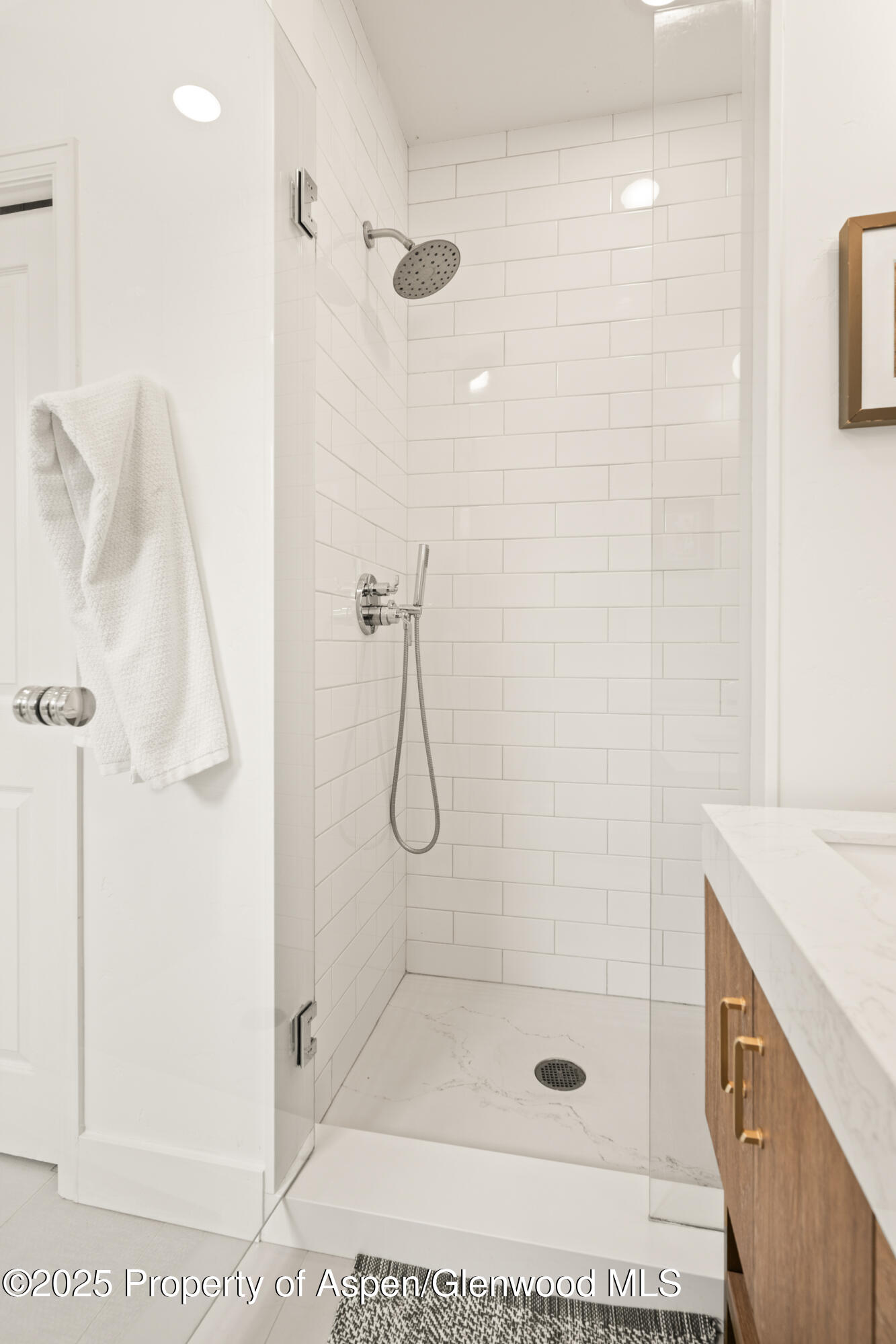 545 Evans Court Basalt CO 81621