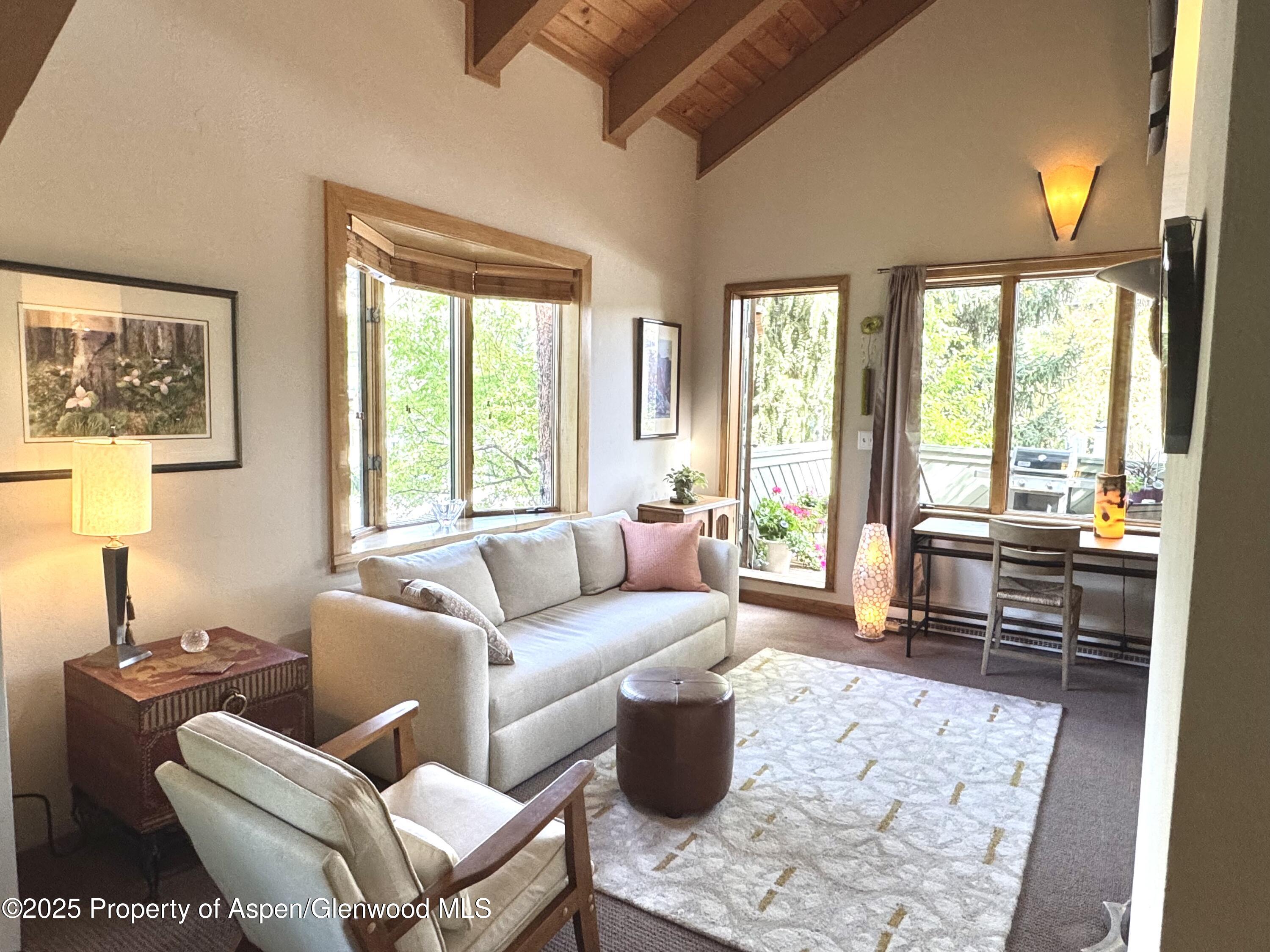 Aspen CO, 125 E Hyman Avenue, Unit 1A