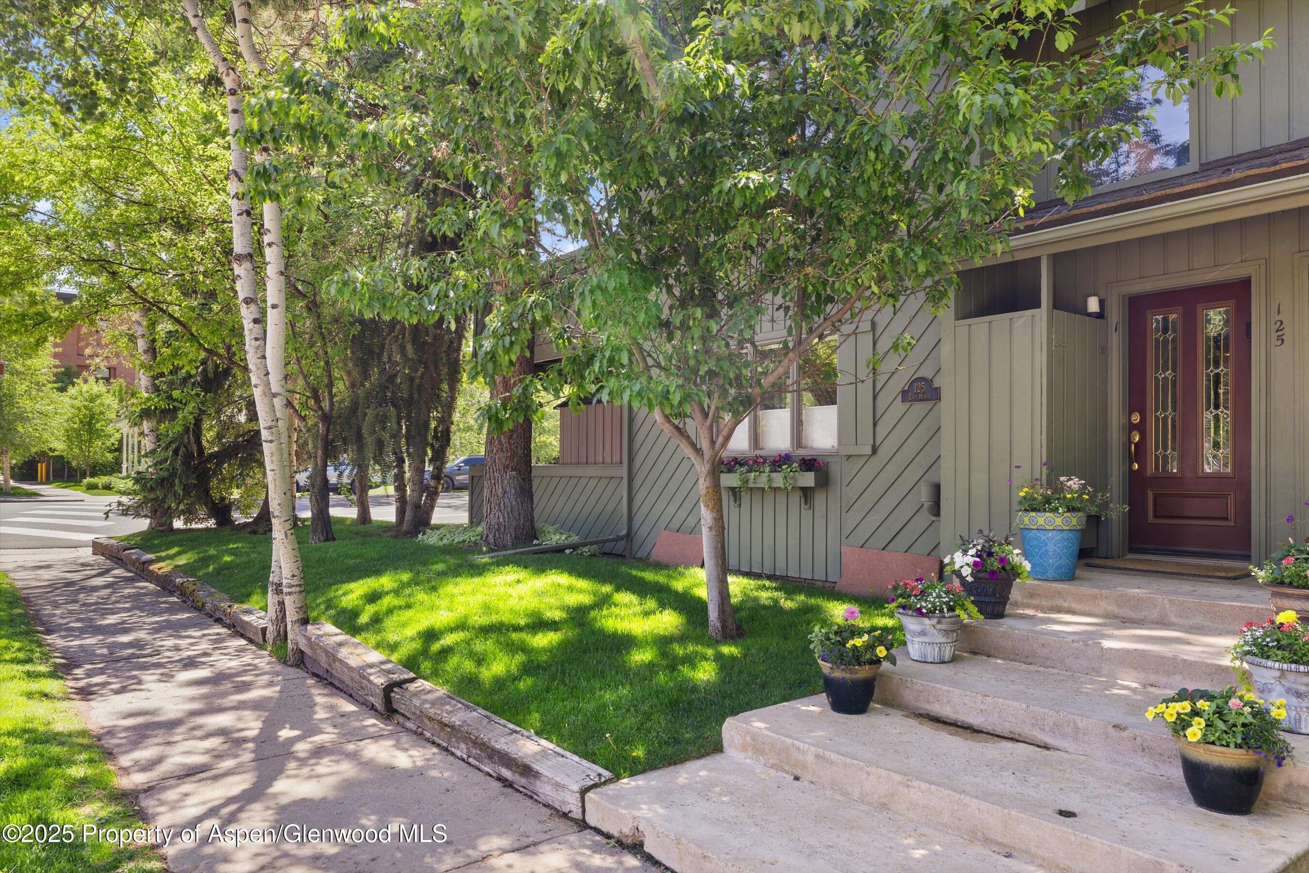 125 E Hyman Avenue Aspen CO 81611