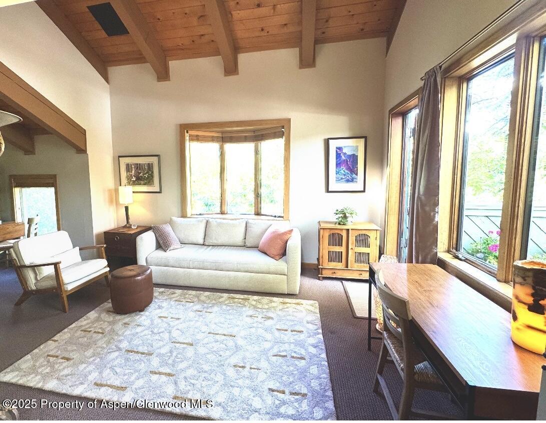 125 E Hyman Avenue Aspen CO 81611